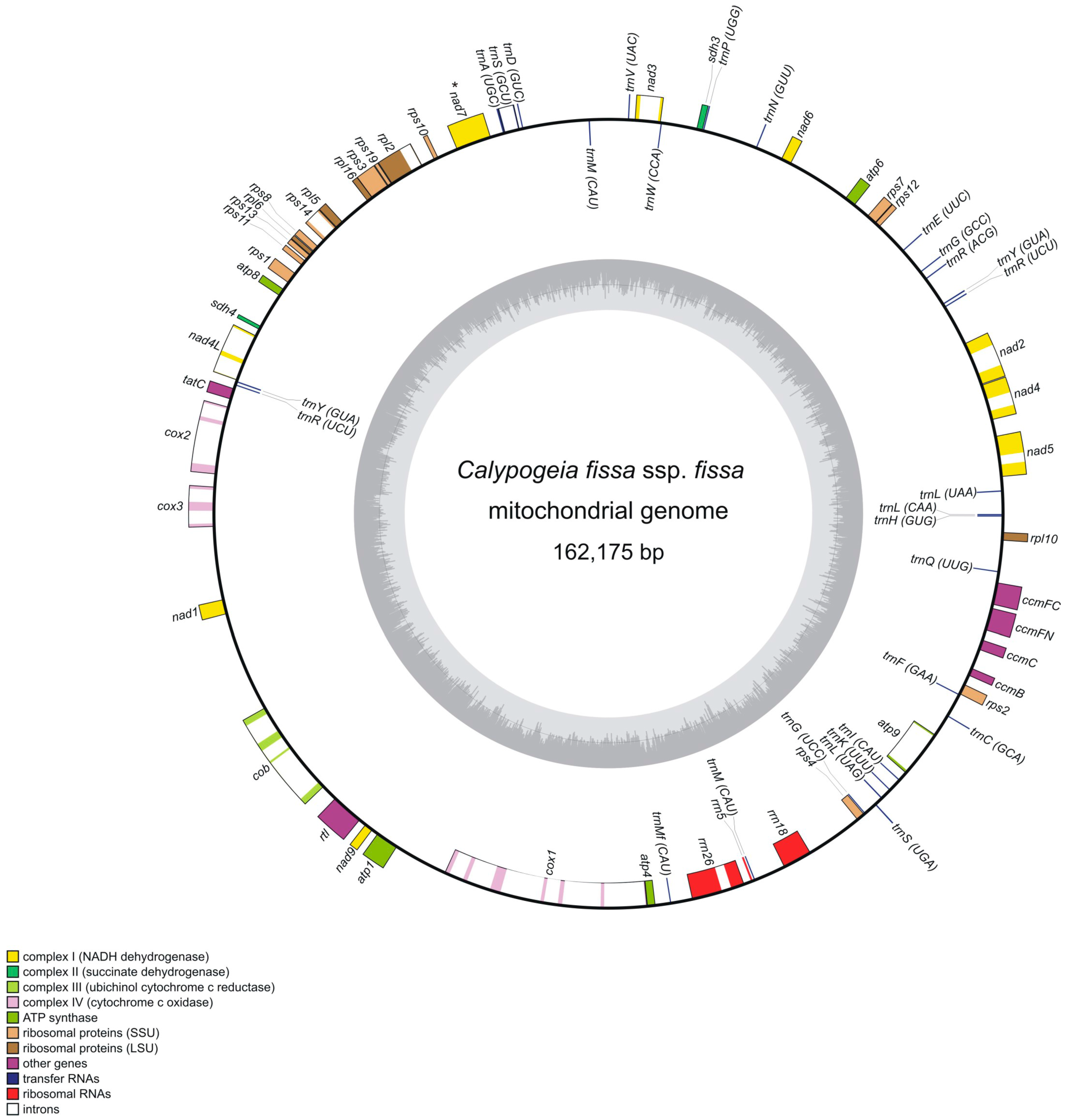 Genes 08 00395 g001