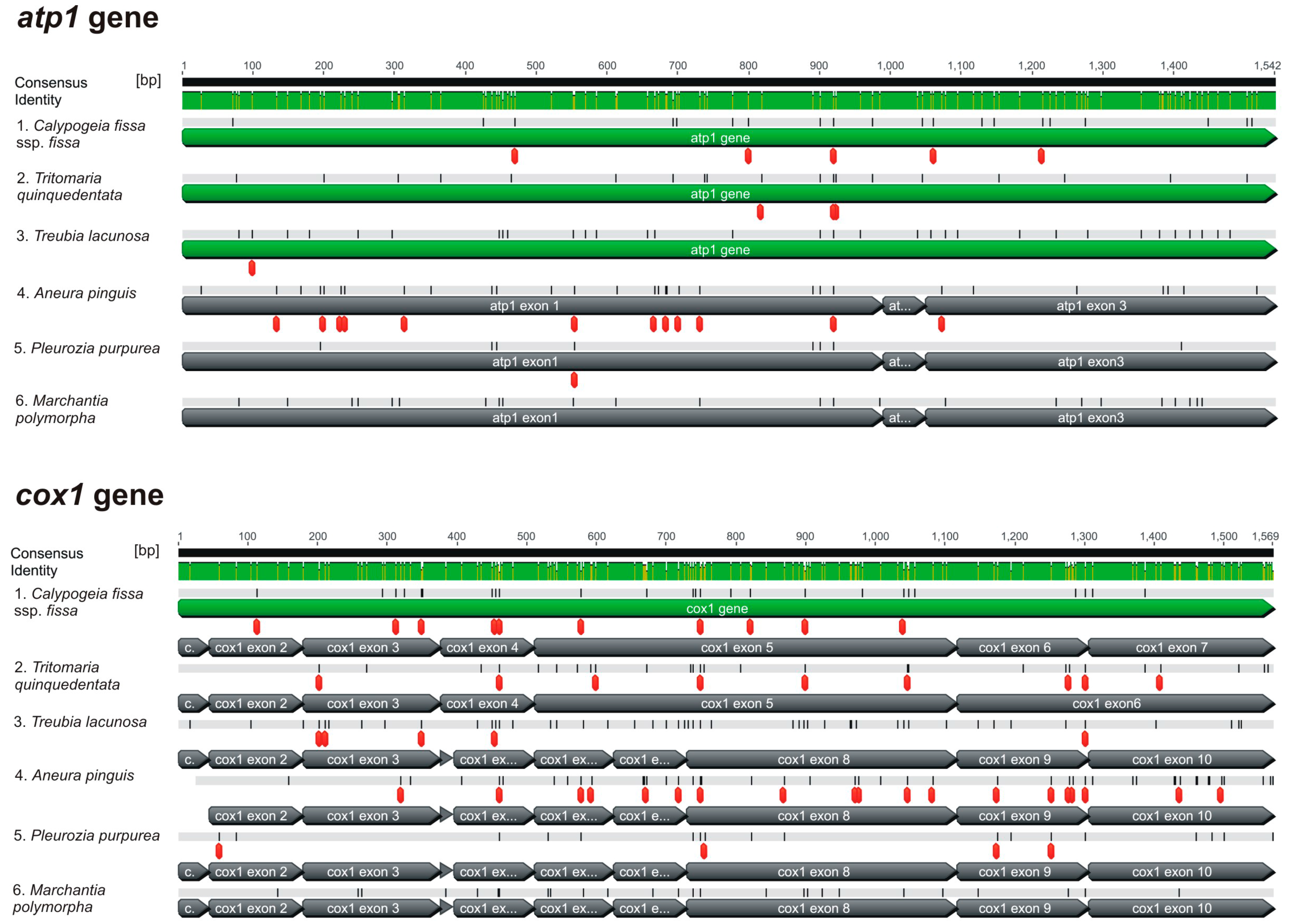 Genes 08 00395 g003