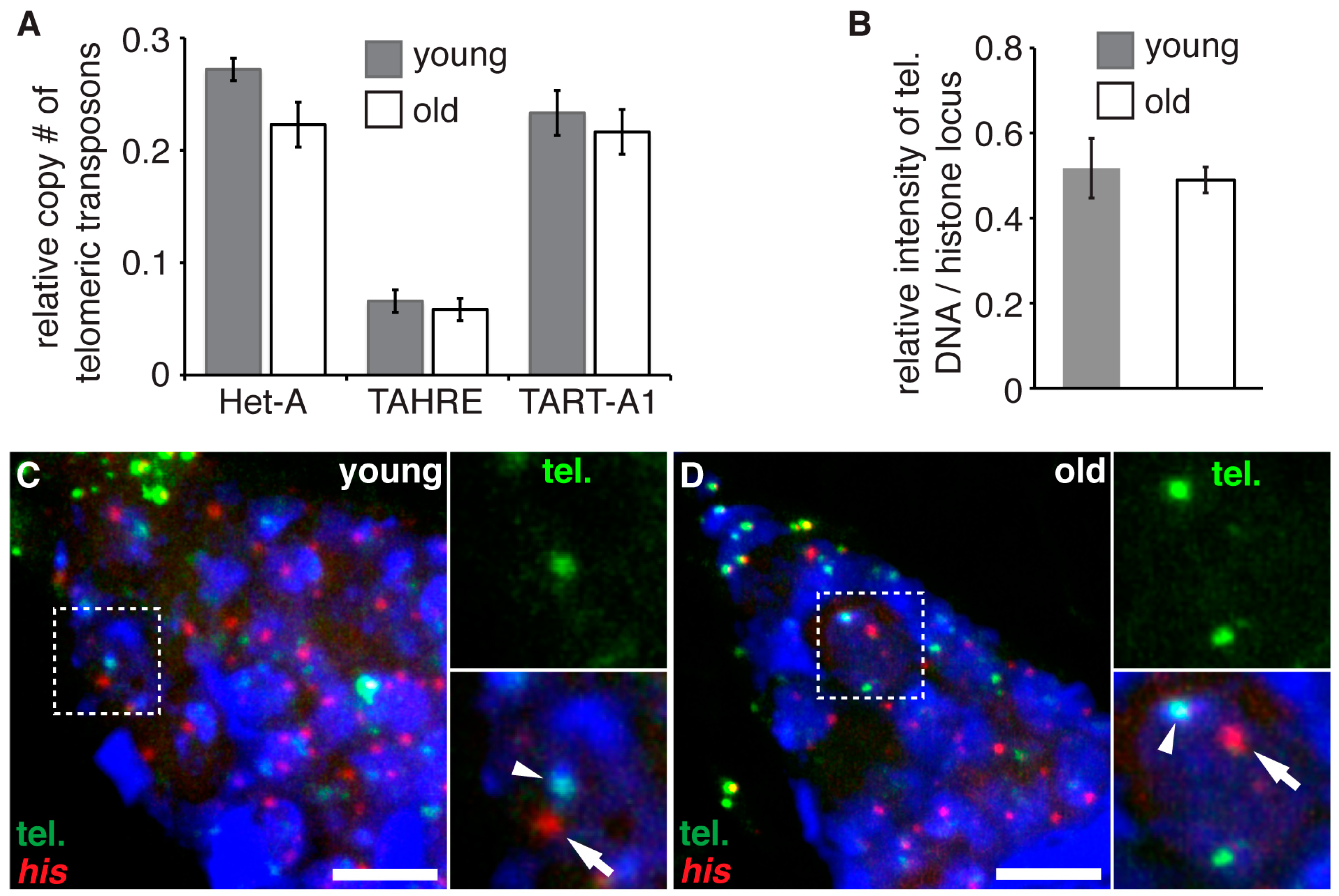 Genes 08 00397 g003 Genes 08 00397 g003