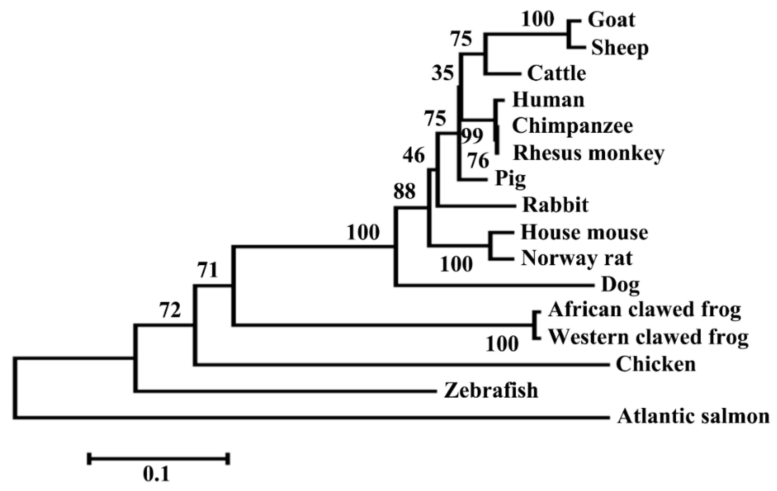 Genes 08 00400 g002