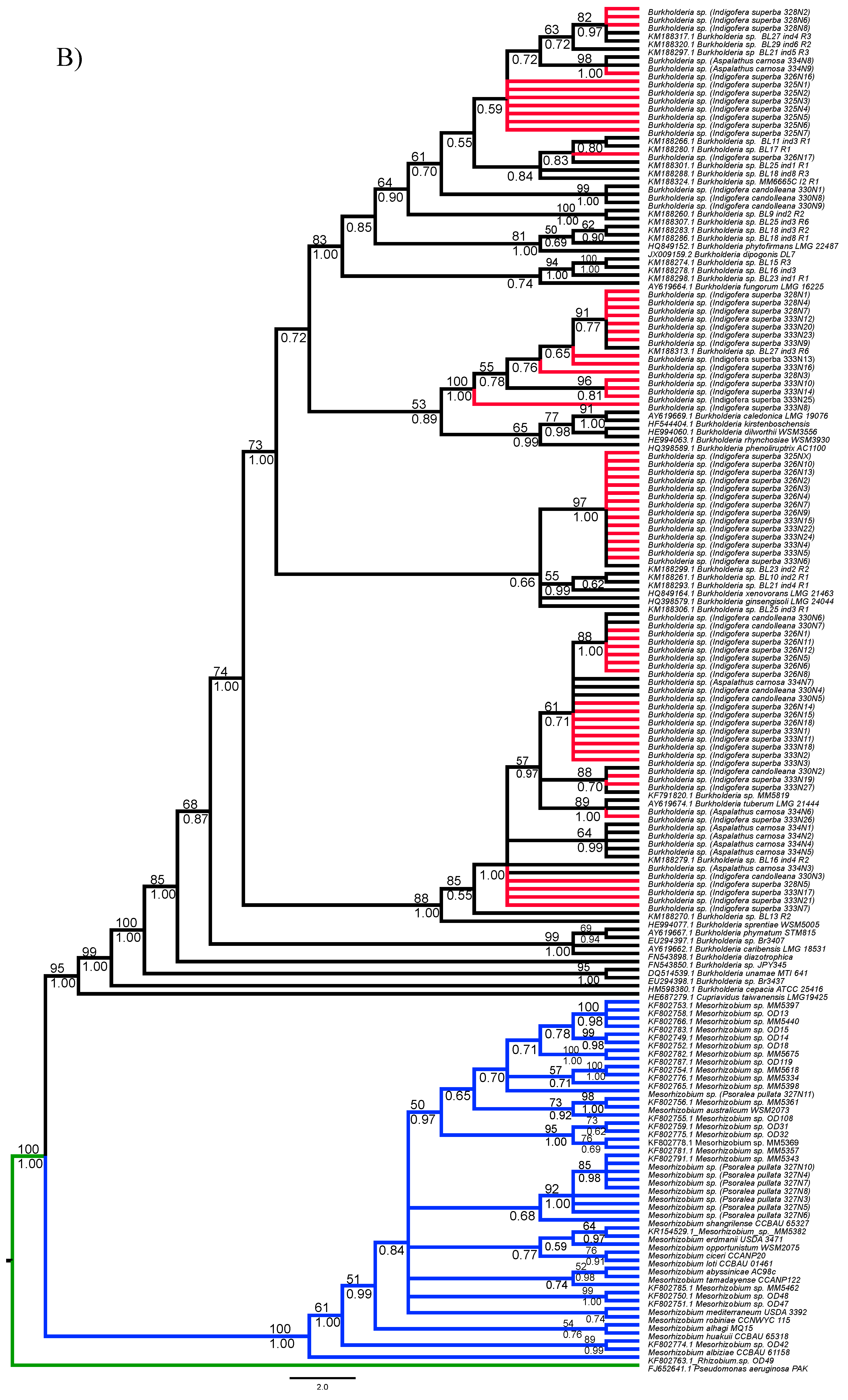 Genes 09 00002 g005b