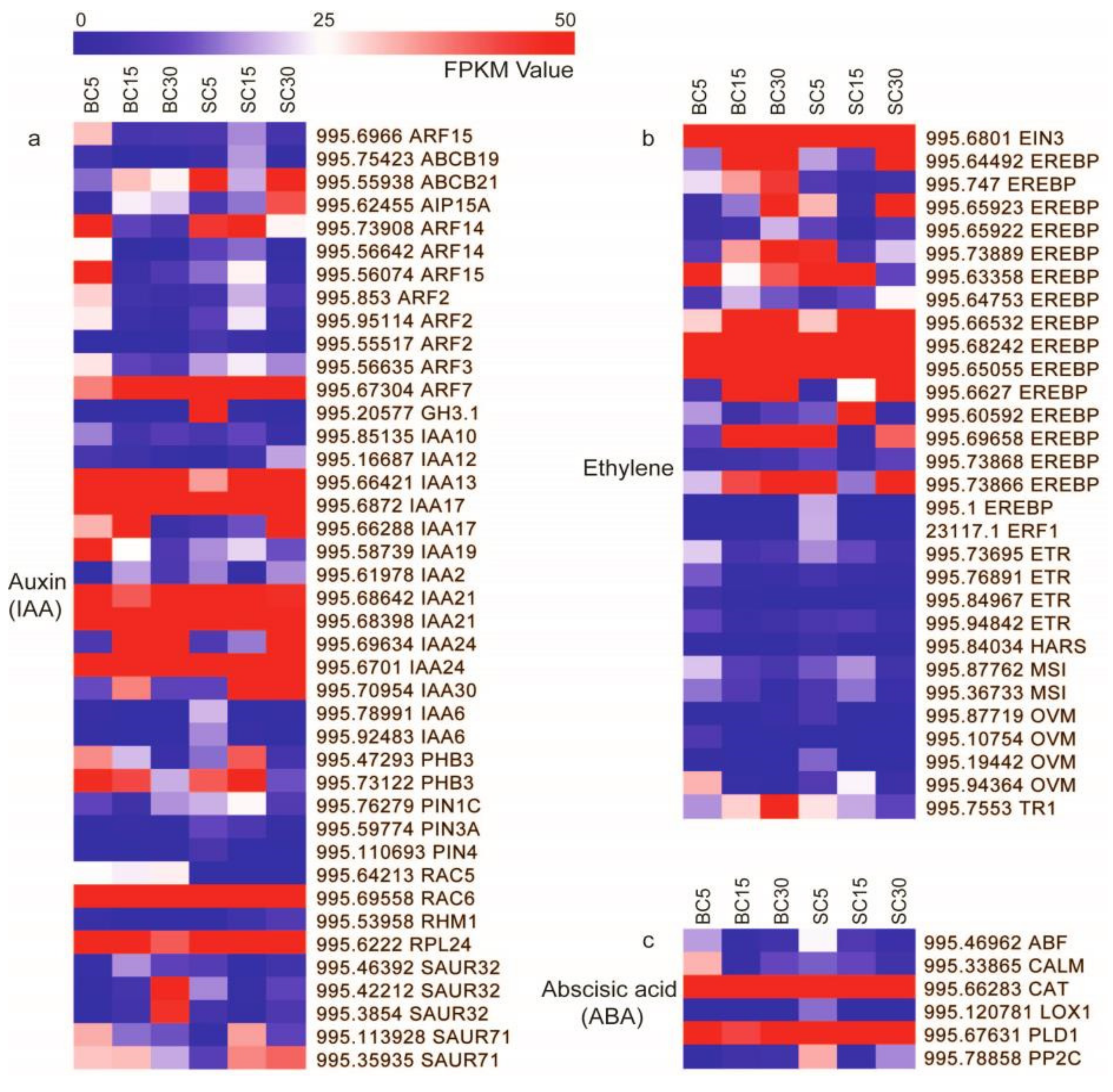 Genes 09 00004 g004 Genes 09 00004 g004