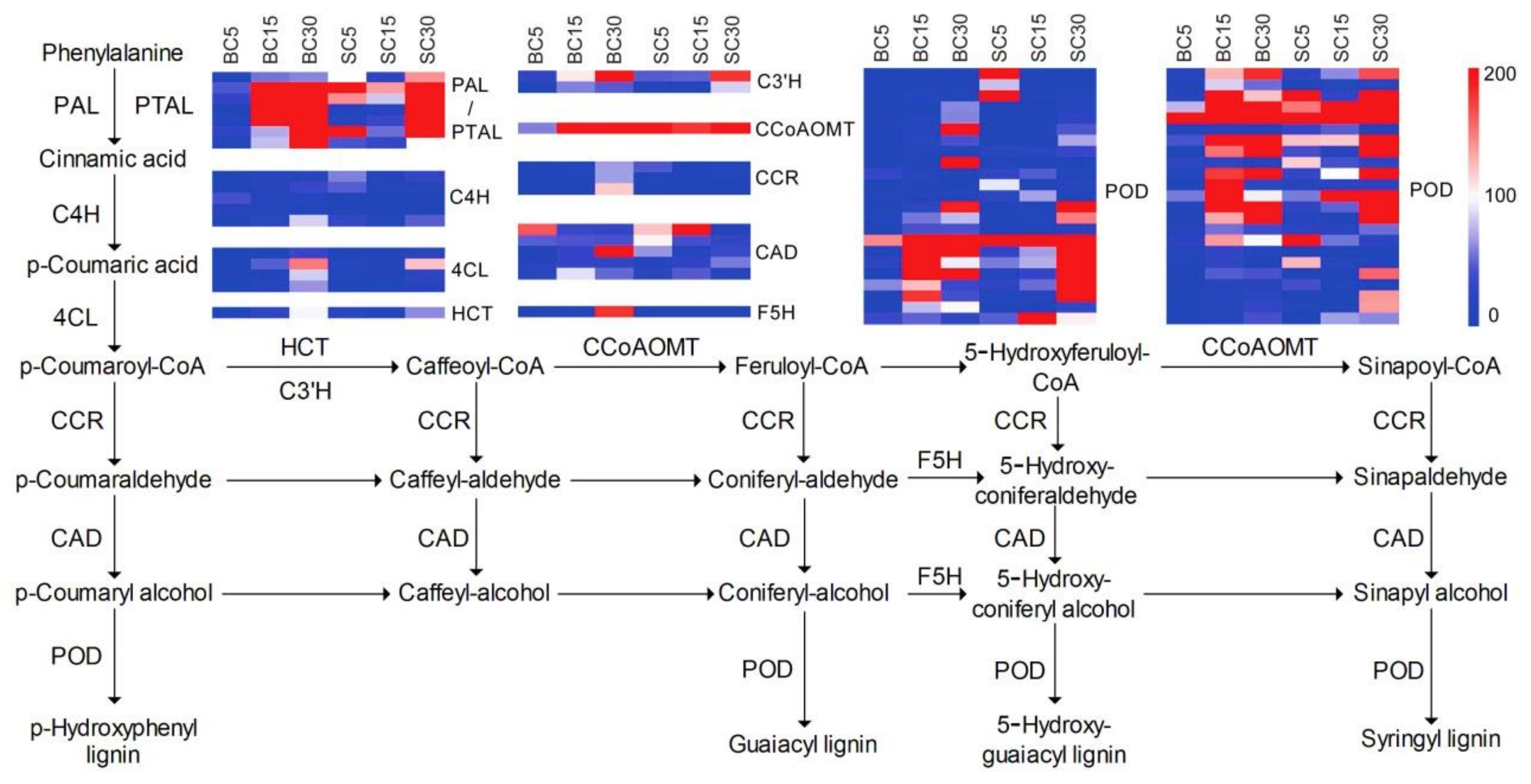 Genes 09 00004 g005 Genes 09 00004 g005