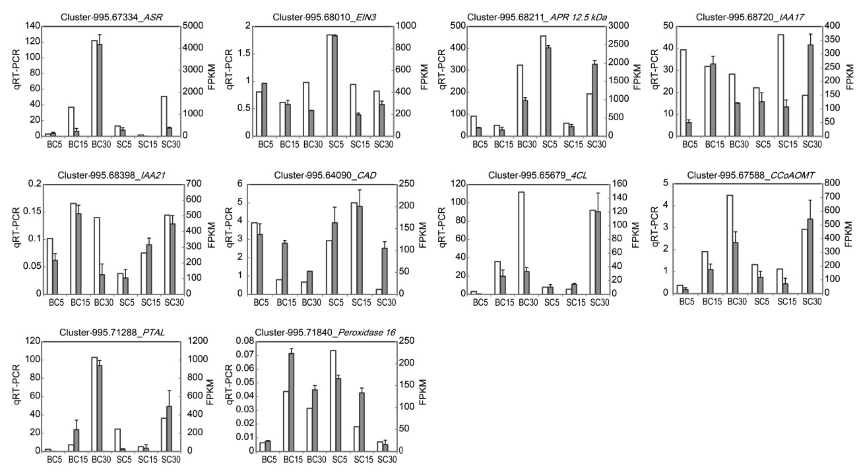 Genes 09 00004 g006 Genes 09 00004 g006