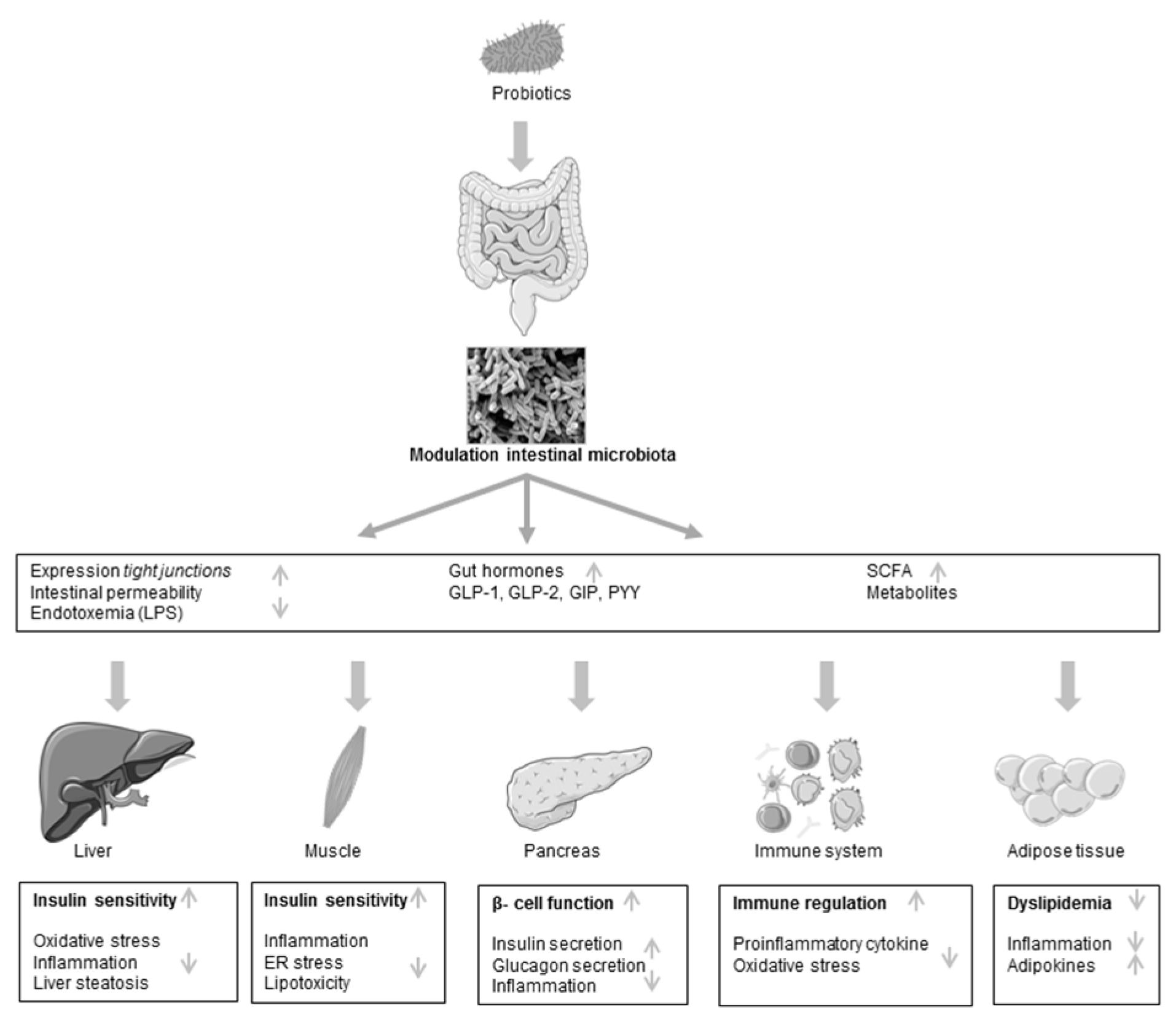 Genes 09 00010 g001 Genes 09 00010 g001