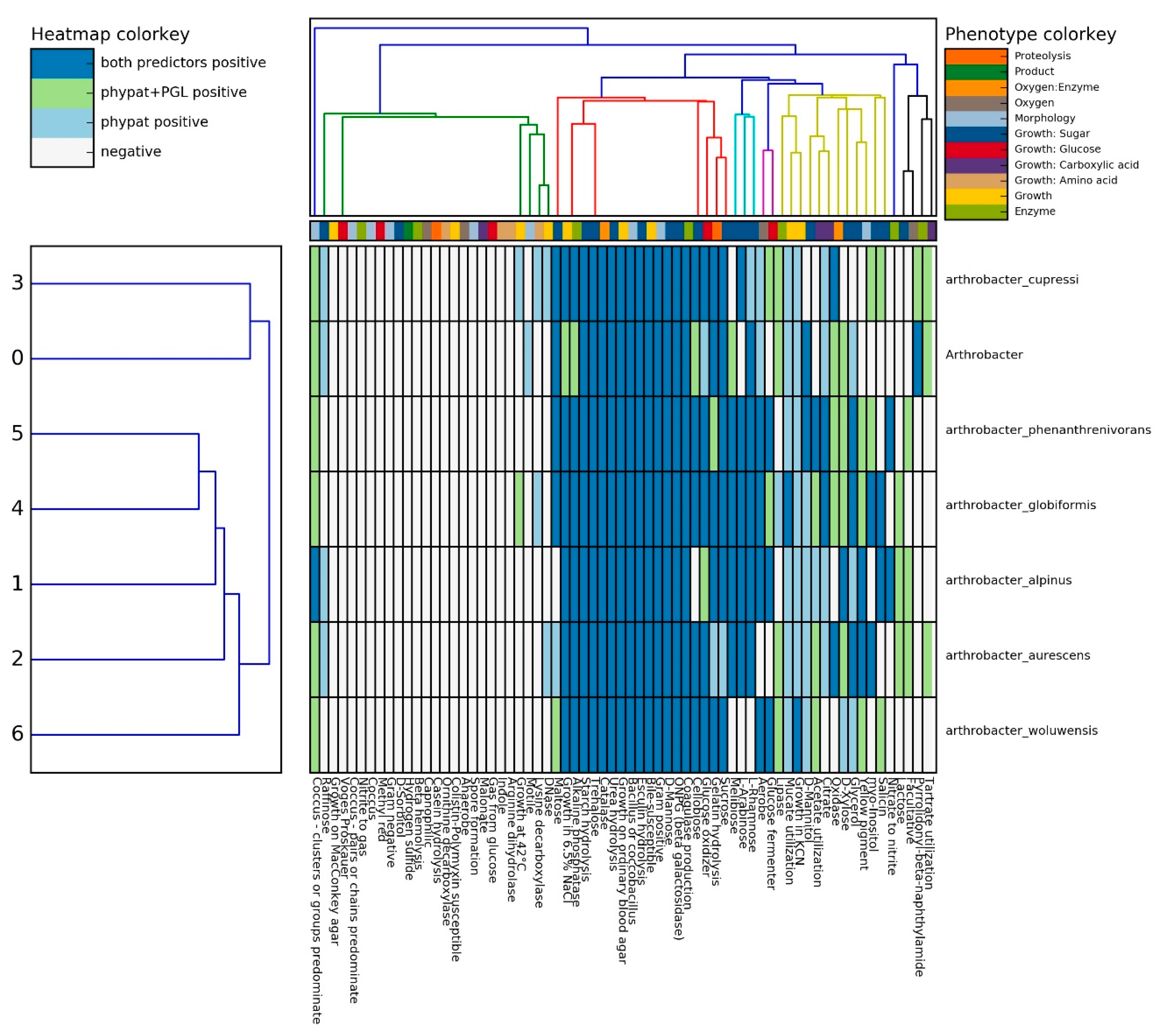 Genes 09 00031 g005 Genes 09 00031 g005