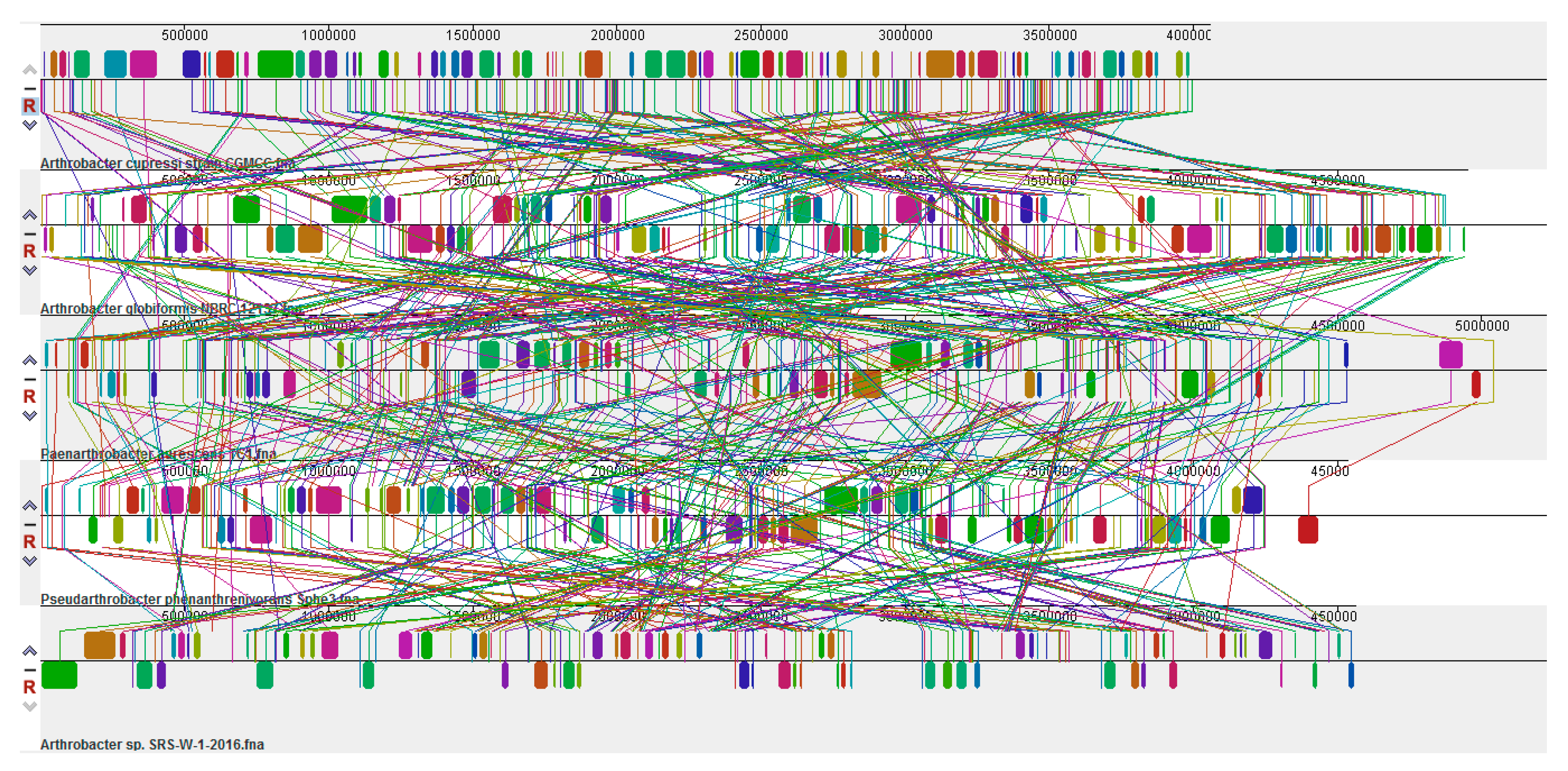 Genes 09 00031 g008 Genes 09 00031 g008