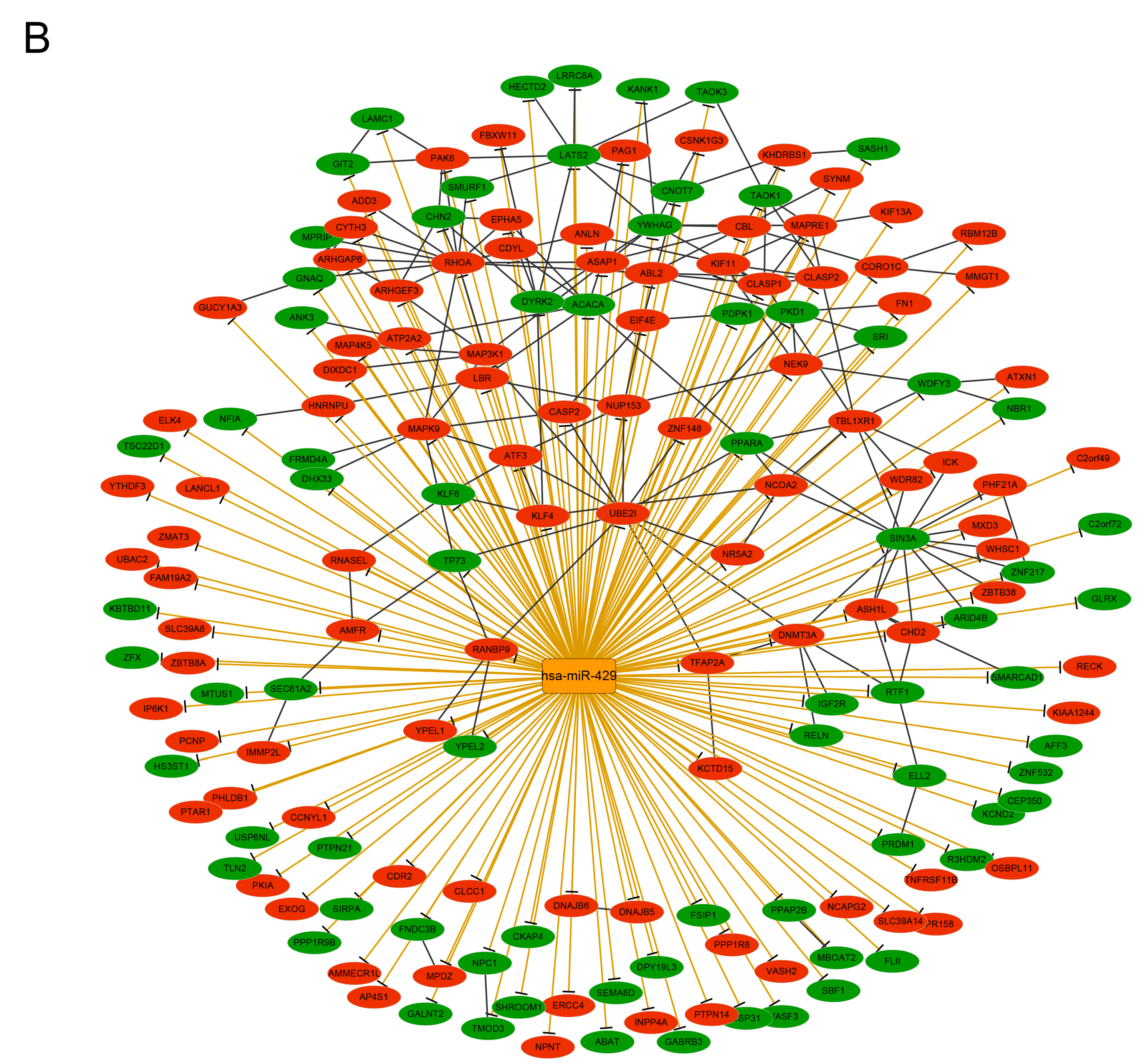 Genes 09 00032 g002b