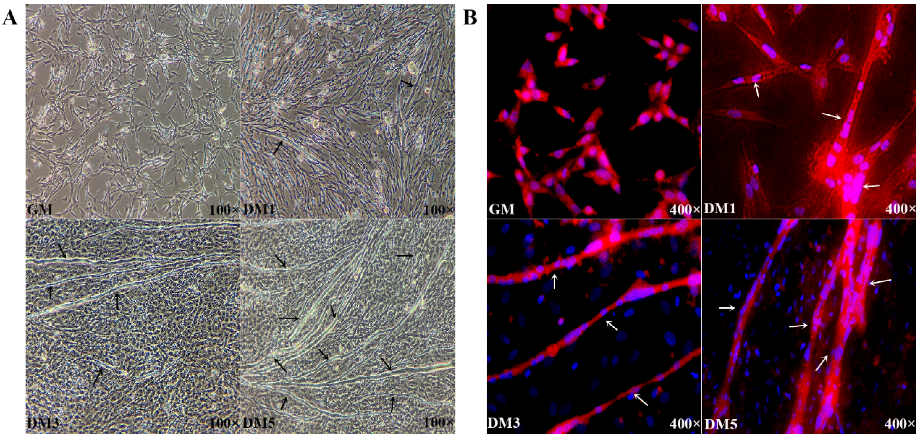 Genes 09 00034 g001
