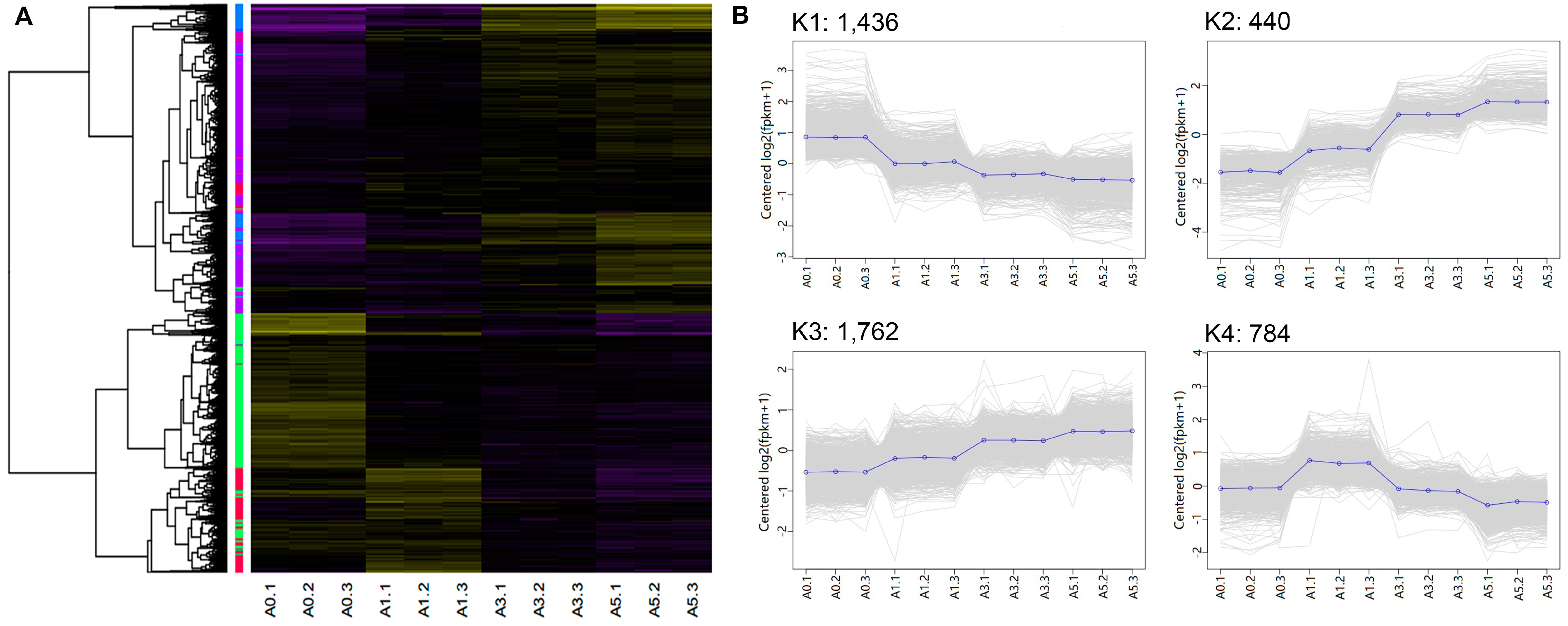 Genes 09 00034 g005