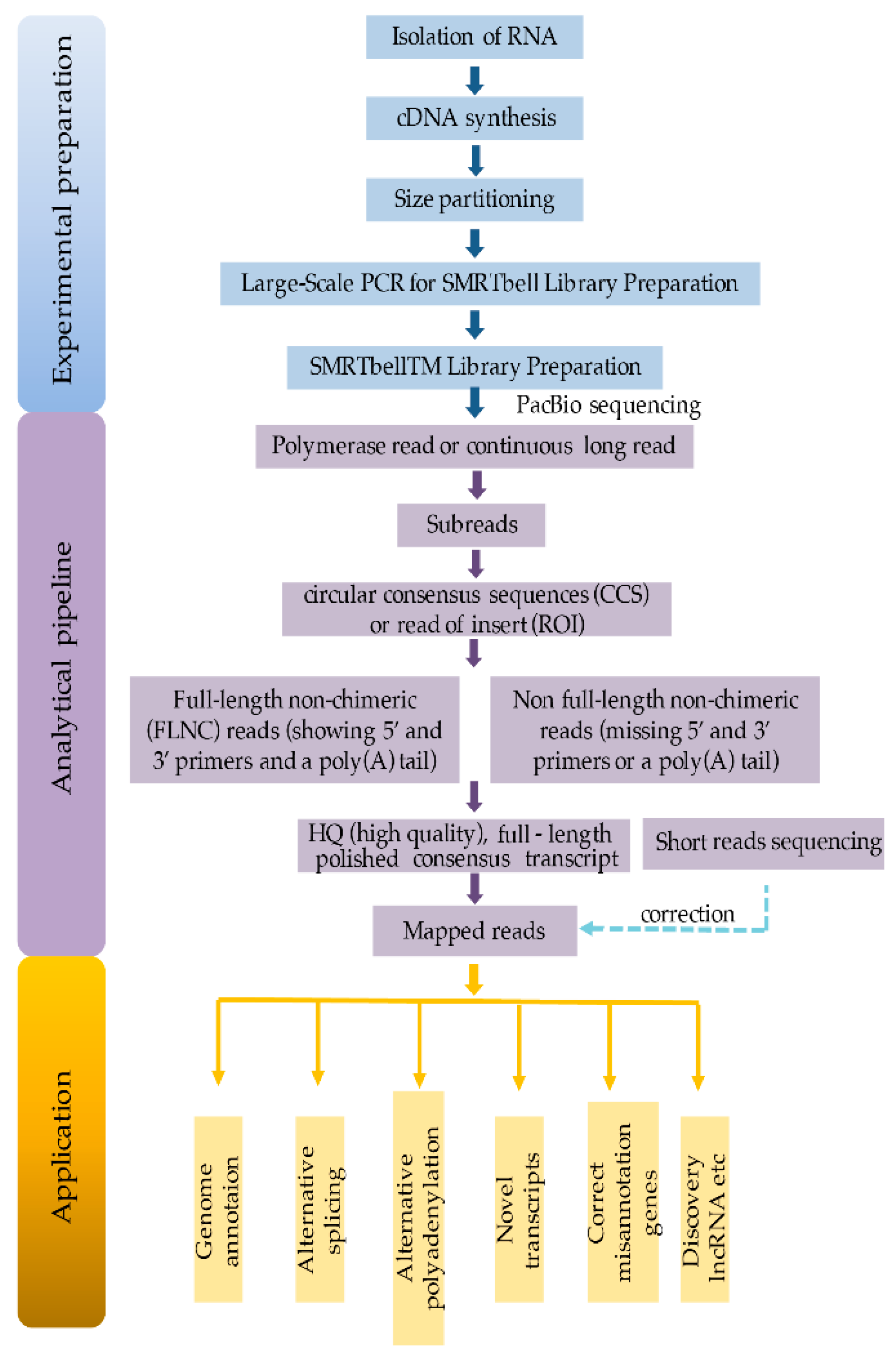 Genes 09 00043 g002 Genes 09 00043 g002