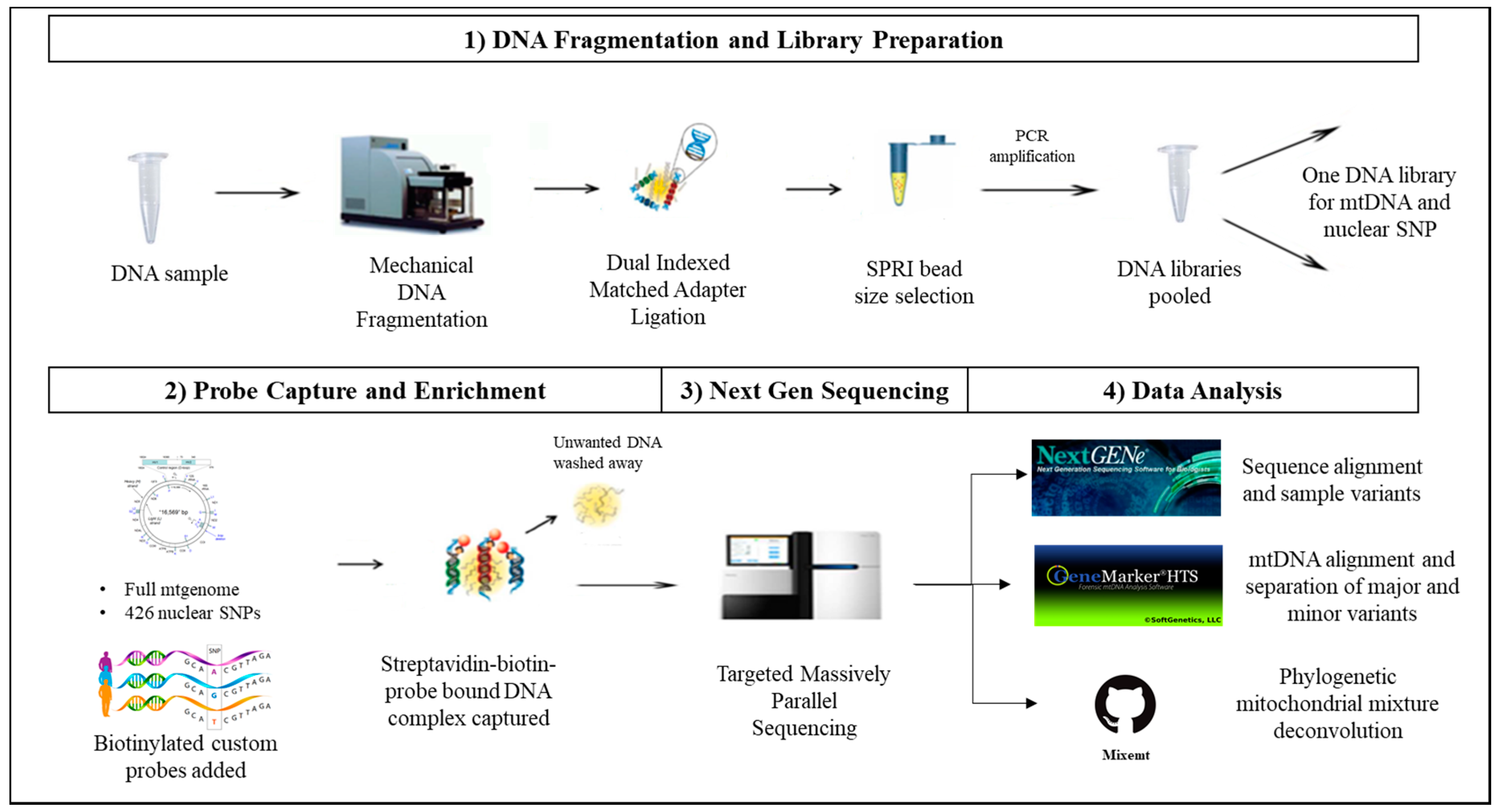 Genes 09 00049 g001 Genes 09 00049 g001
