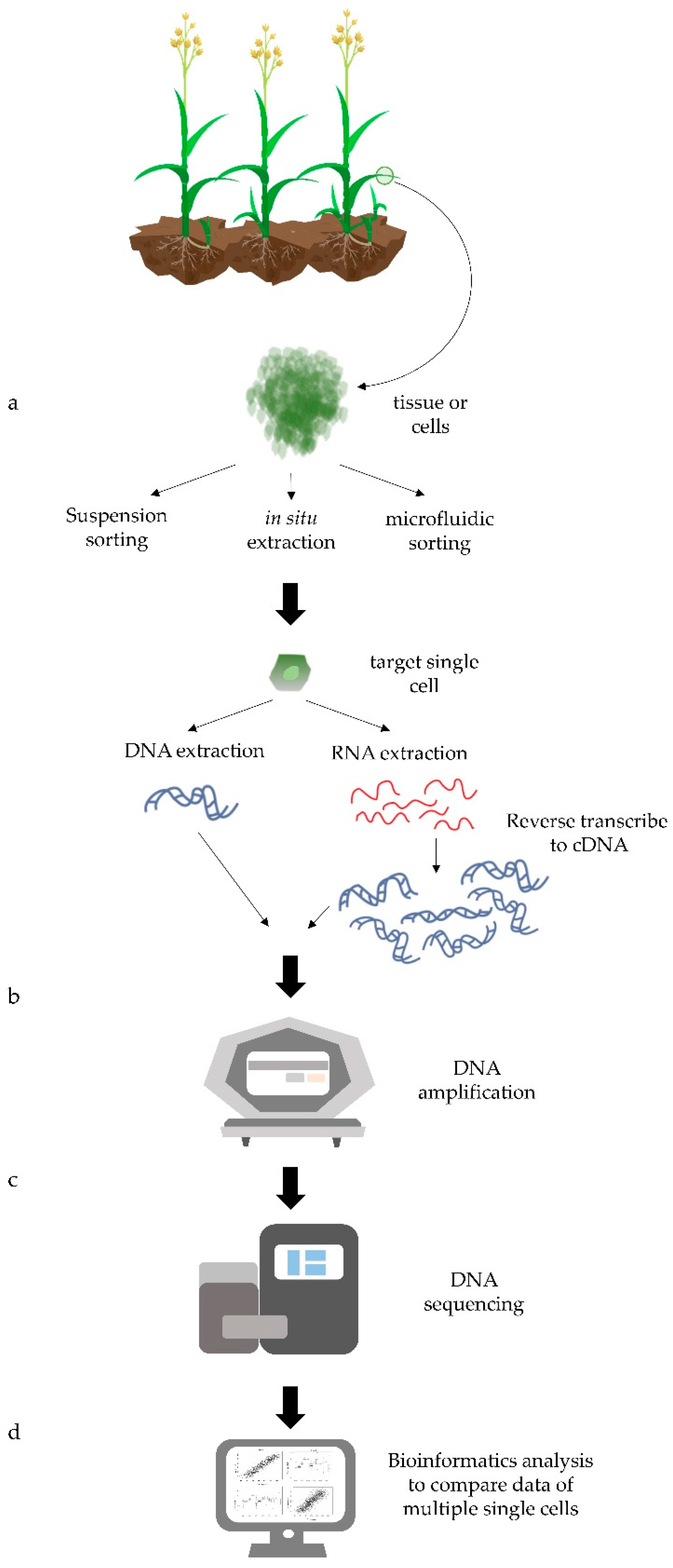Genes 09 00050 g001