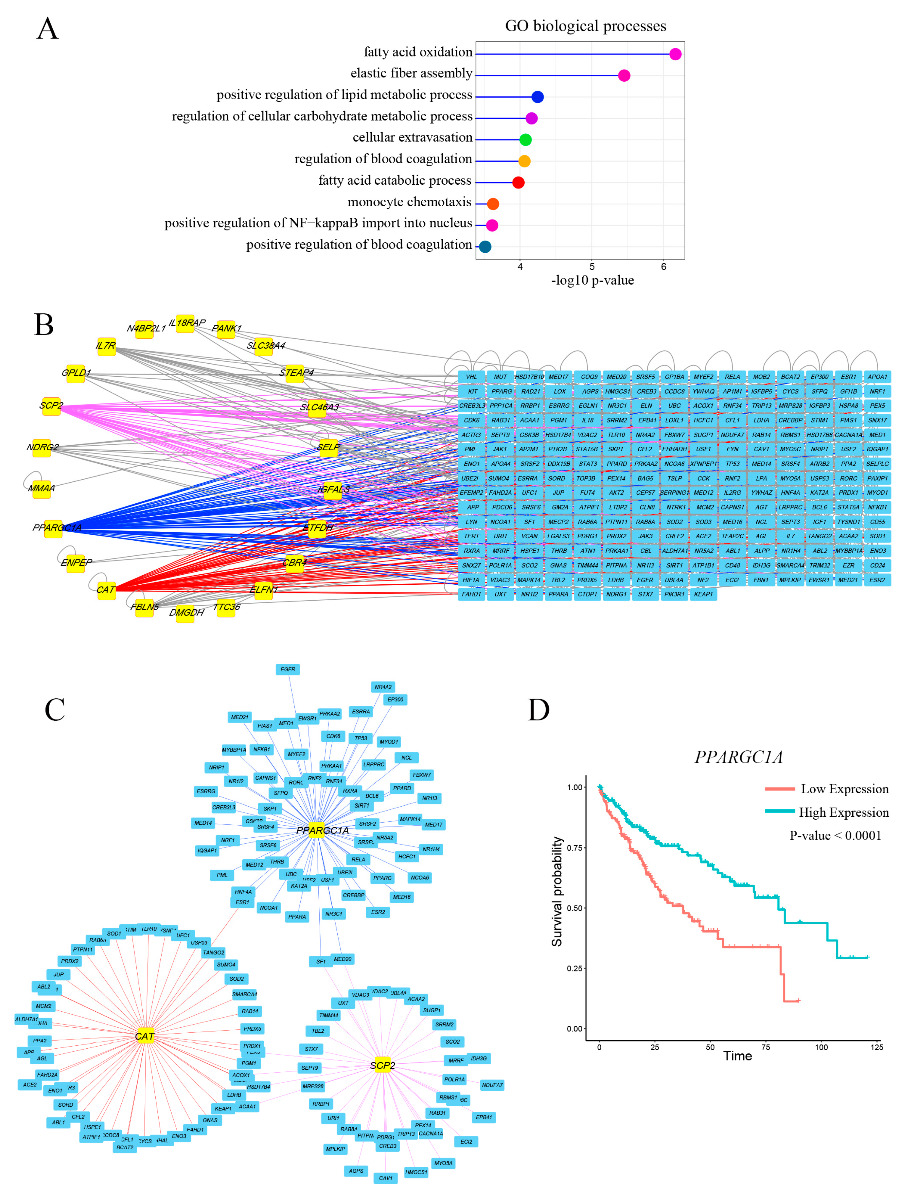 Genes 09 00051 g002