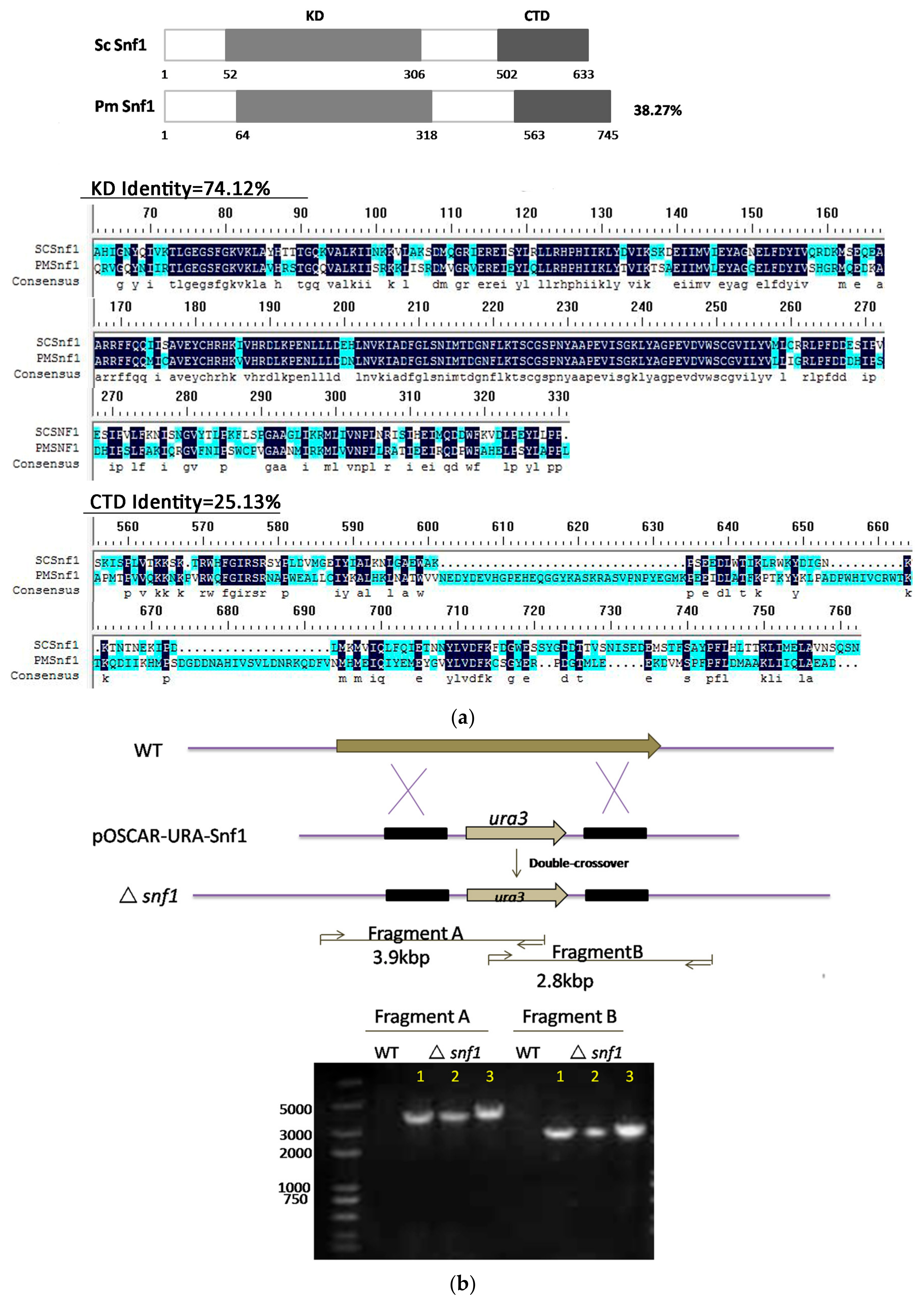 Genes 09 00059 g001a