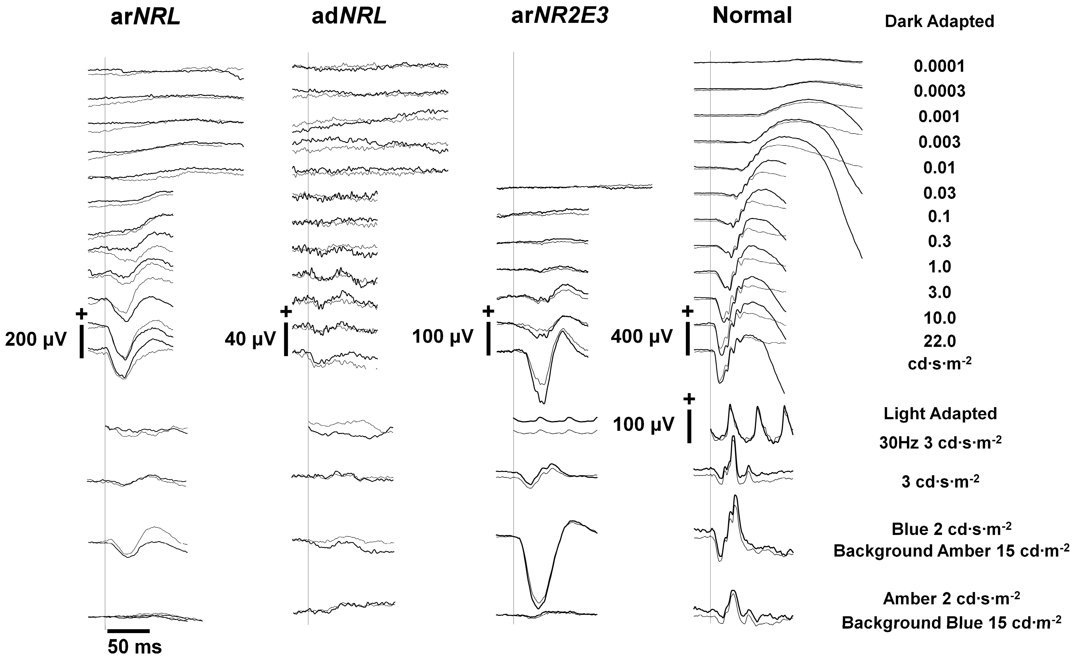 Genes 09 00068 g002 Genes 09 00068 g002