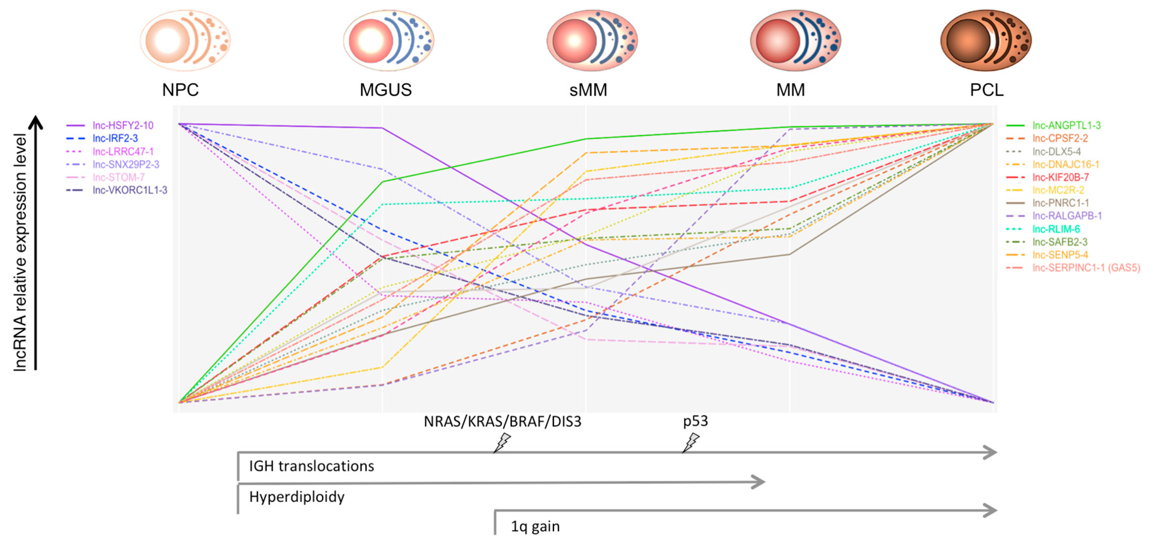 Genes 09 00069 g001 Genes 09 00069 g001