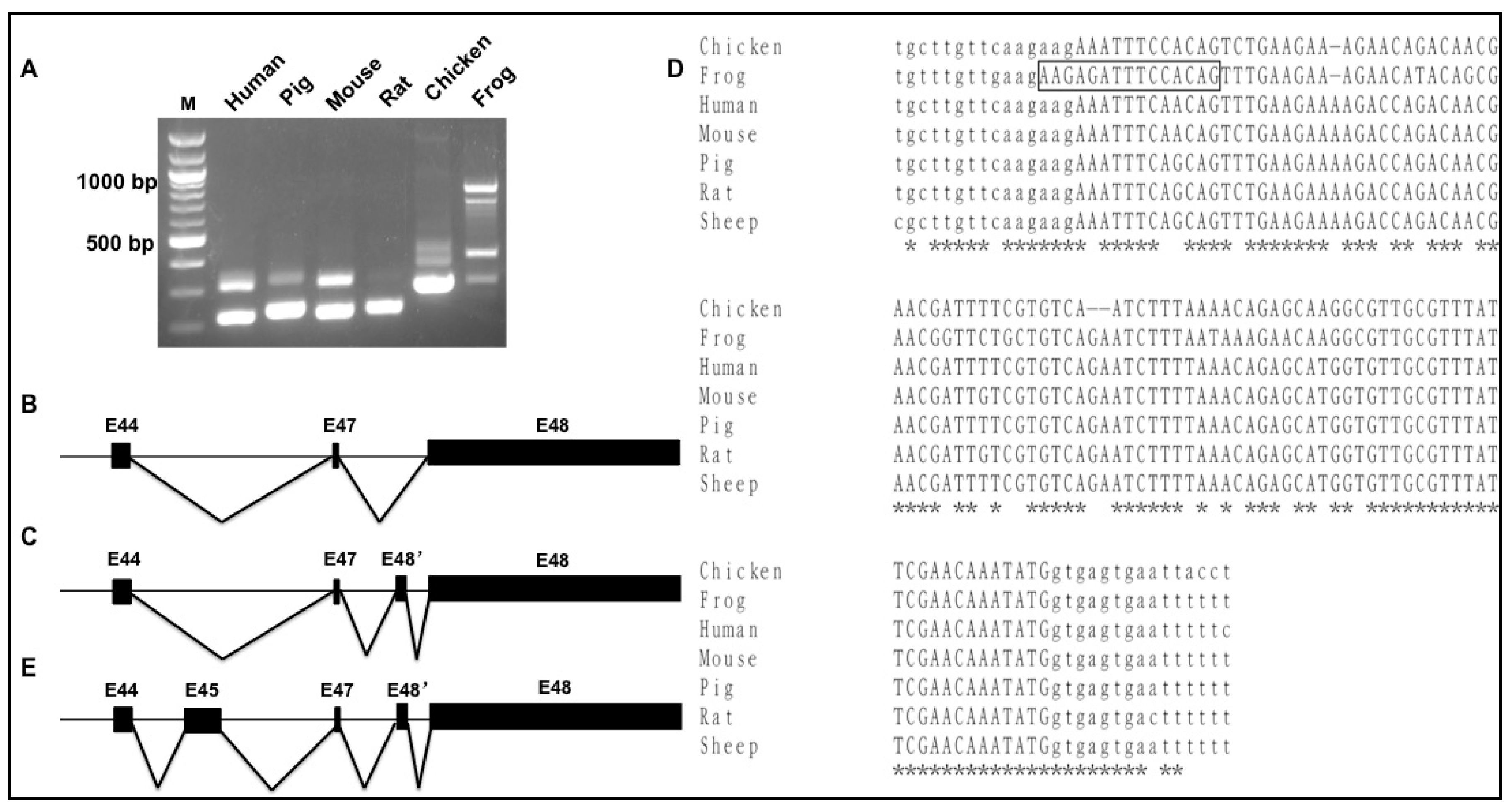 Genes 09 00086 g004