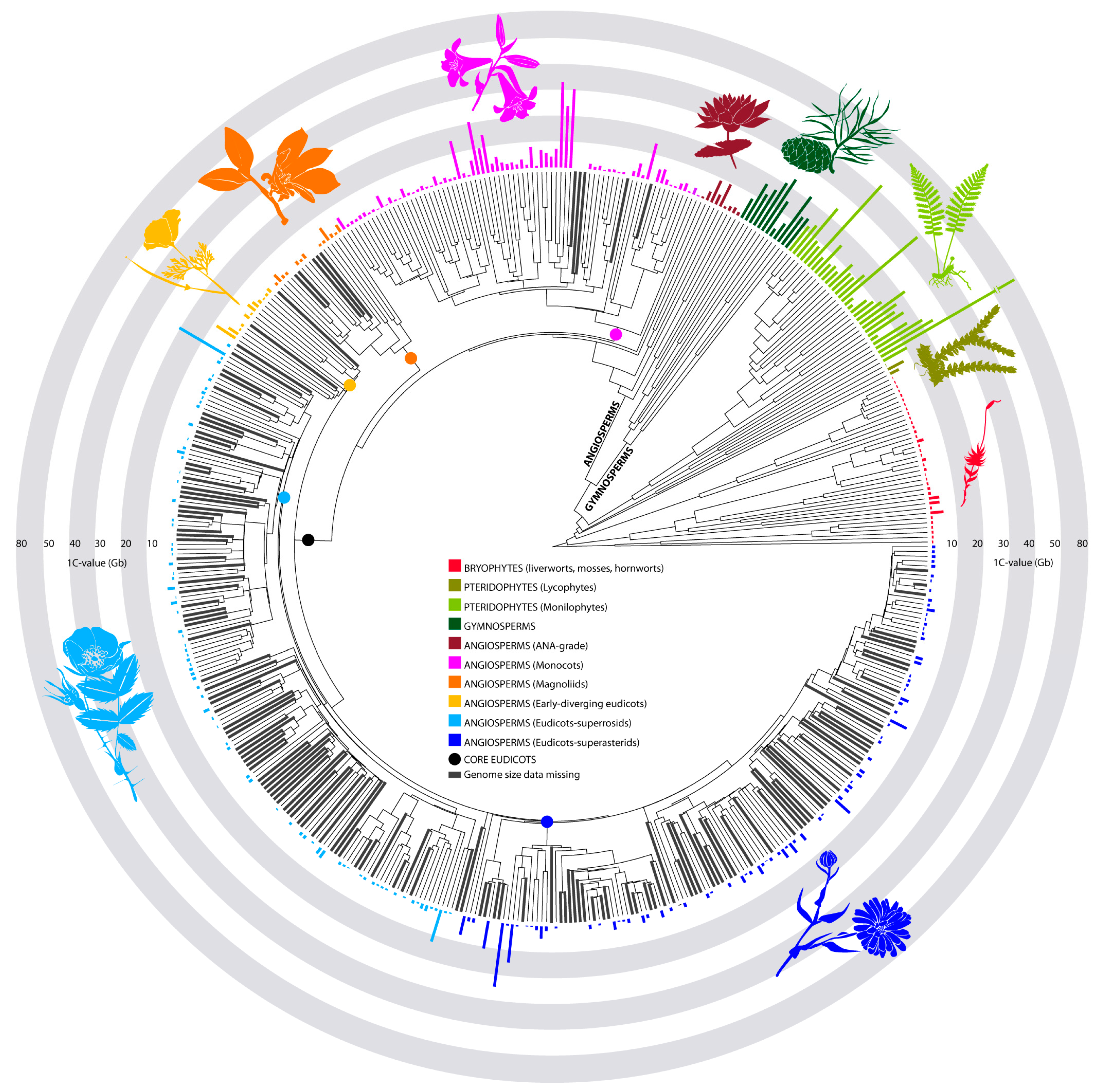 Genes 09 00088 g001 Genes 09 00088 g001