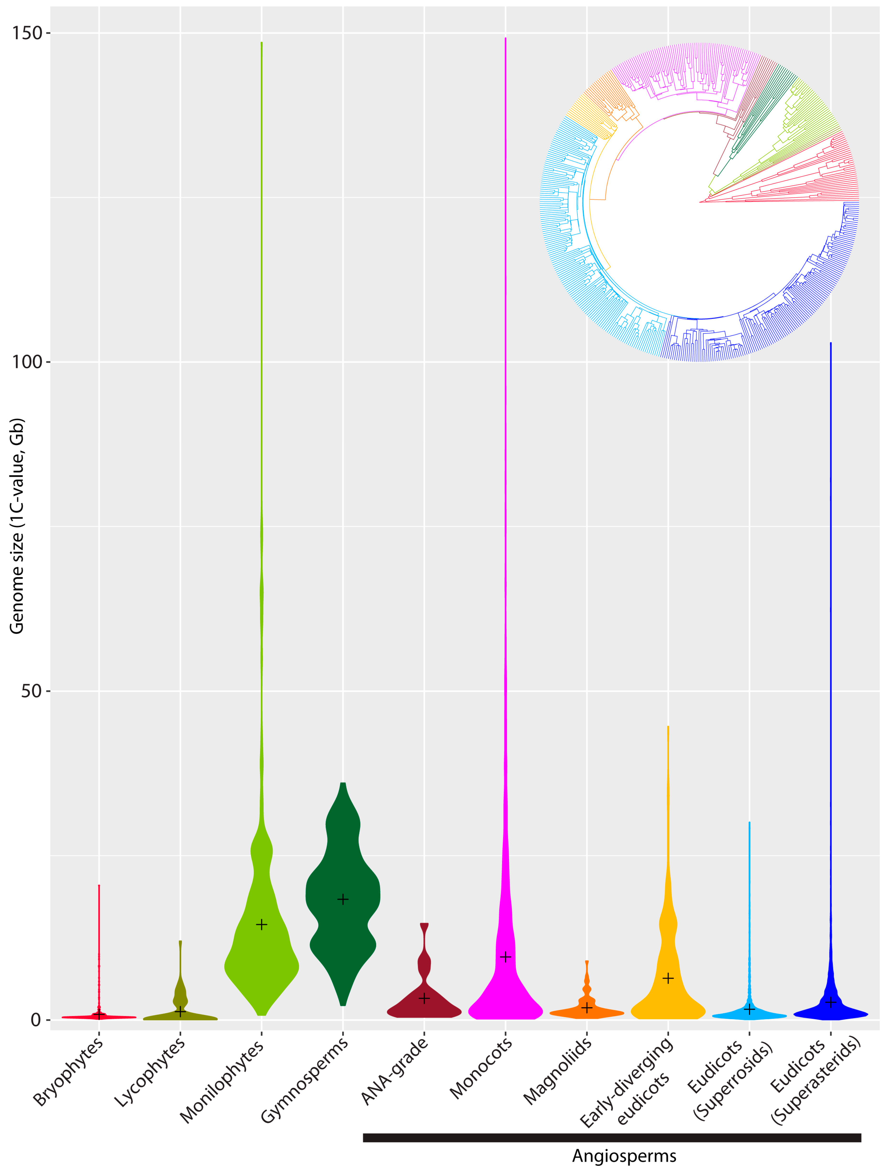 Genes 09 00088 g002 Genes 09 00088 g002