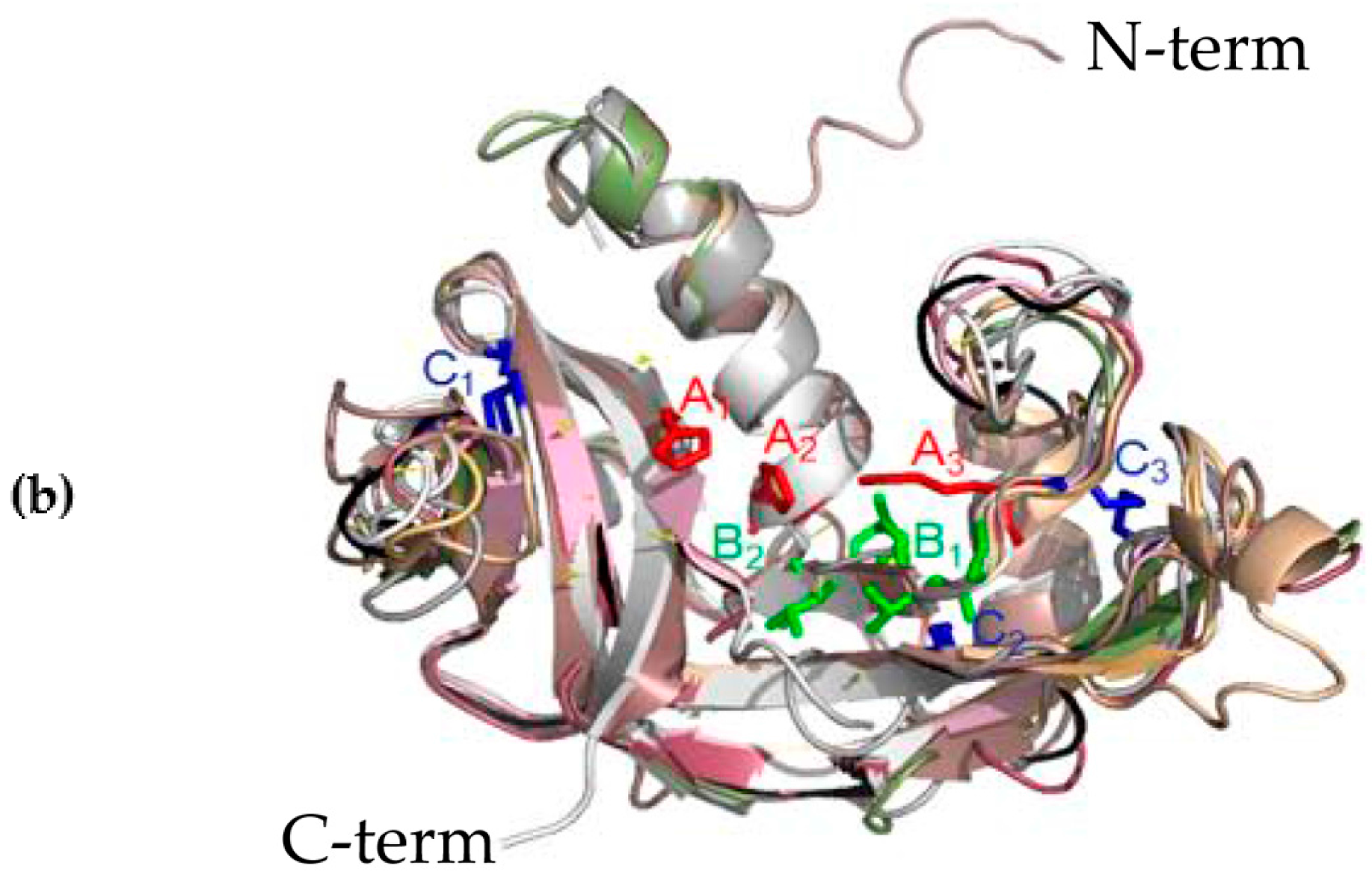 Genes 09 00095 g002b