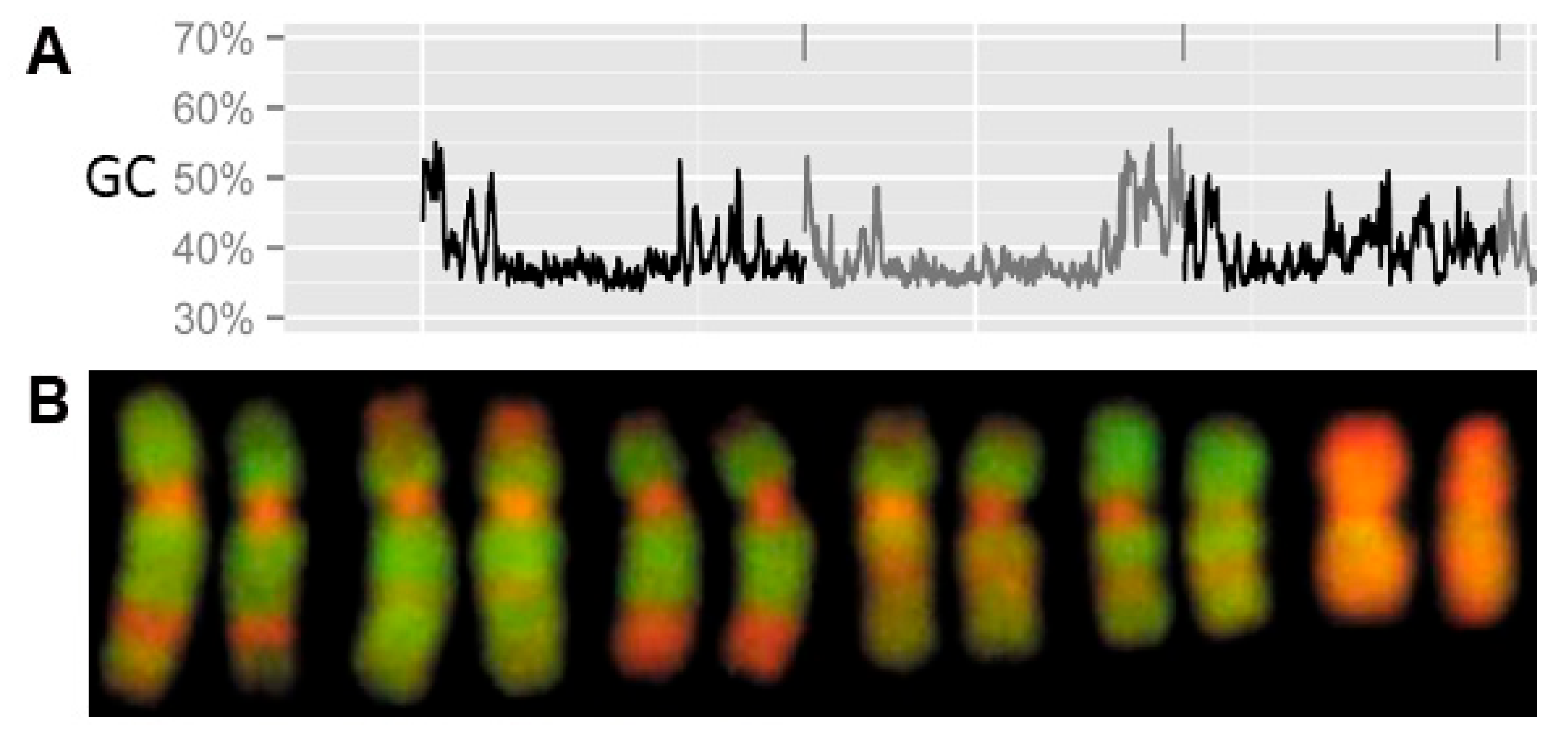 Genes 09 00096 g002 Genes 09 00096 g002