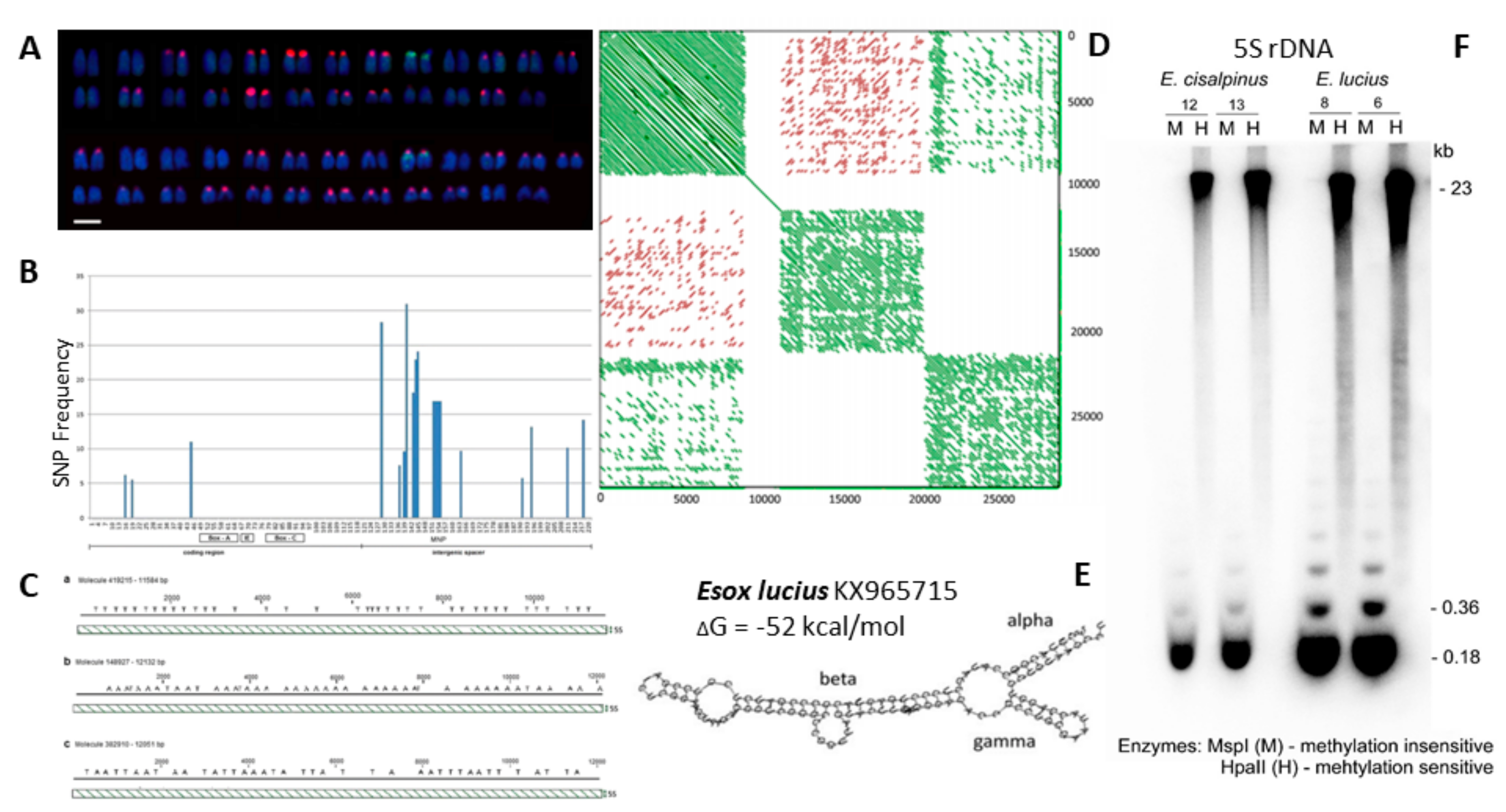 Genes 09 00096 g003 Genes 09 00096 g003