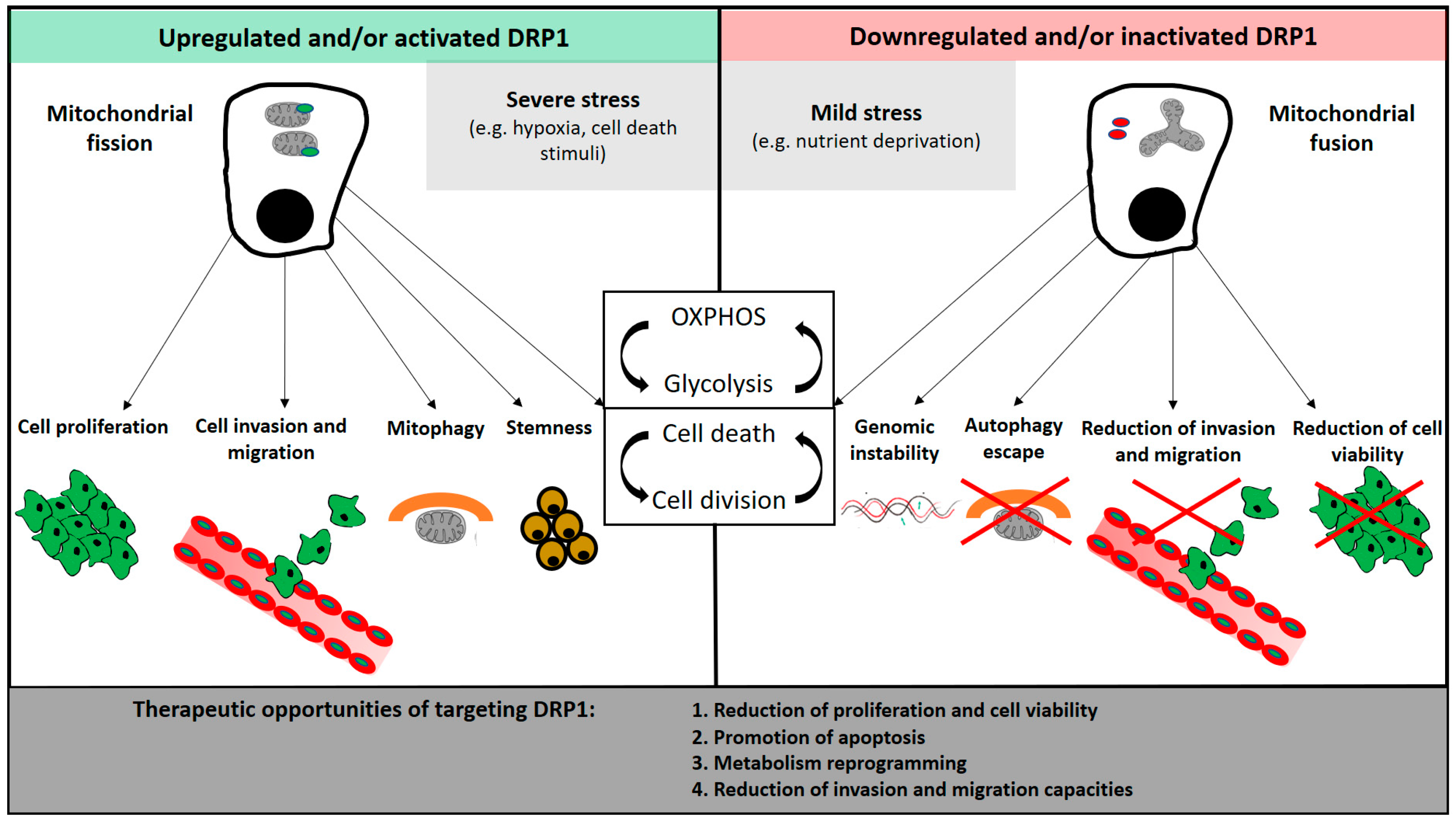 Genes 09 00115 g002