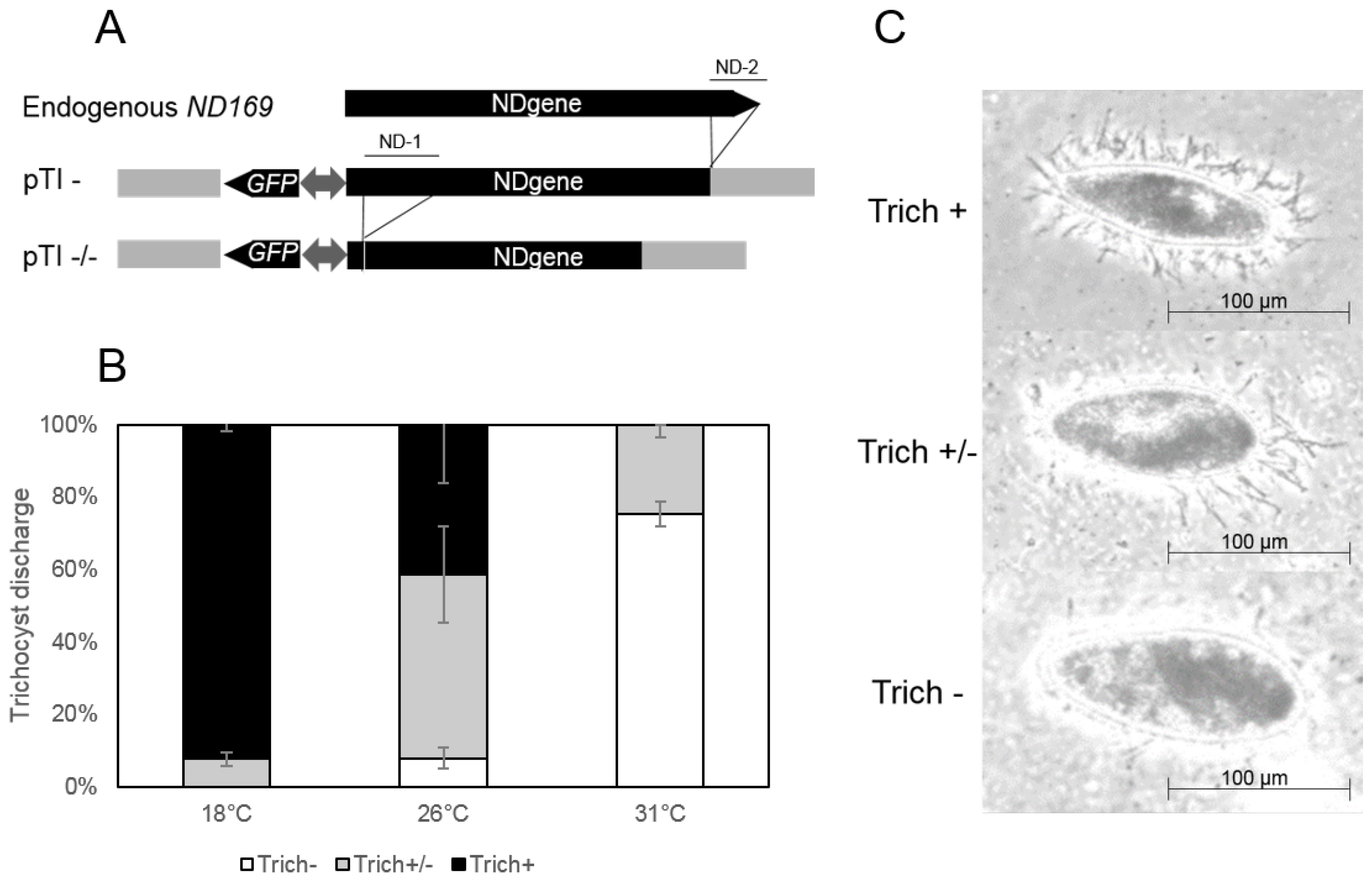 Genes 09 00117 g001
