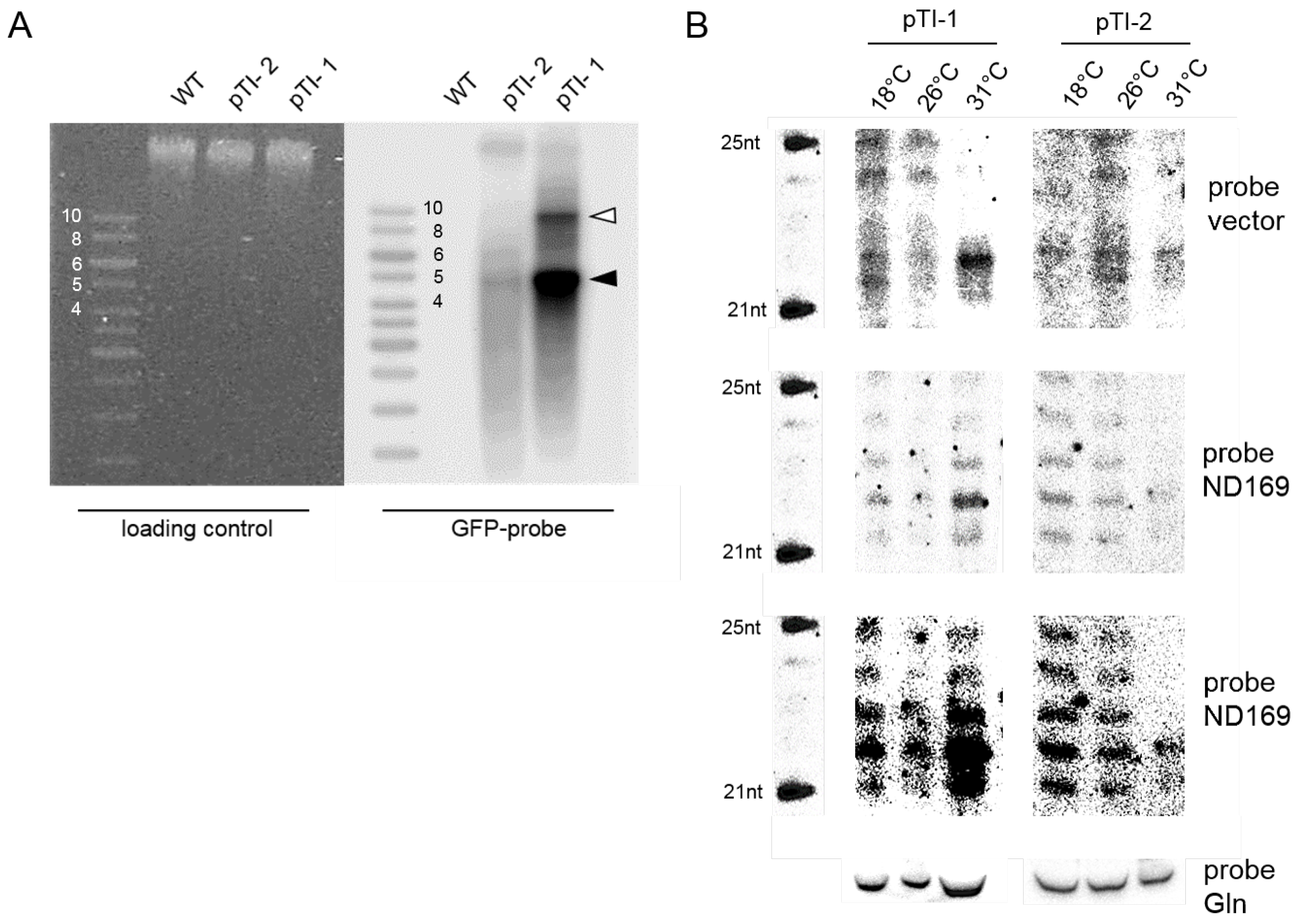 Genes 09 00117 g002