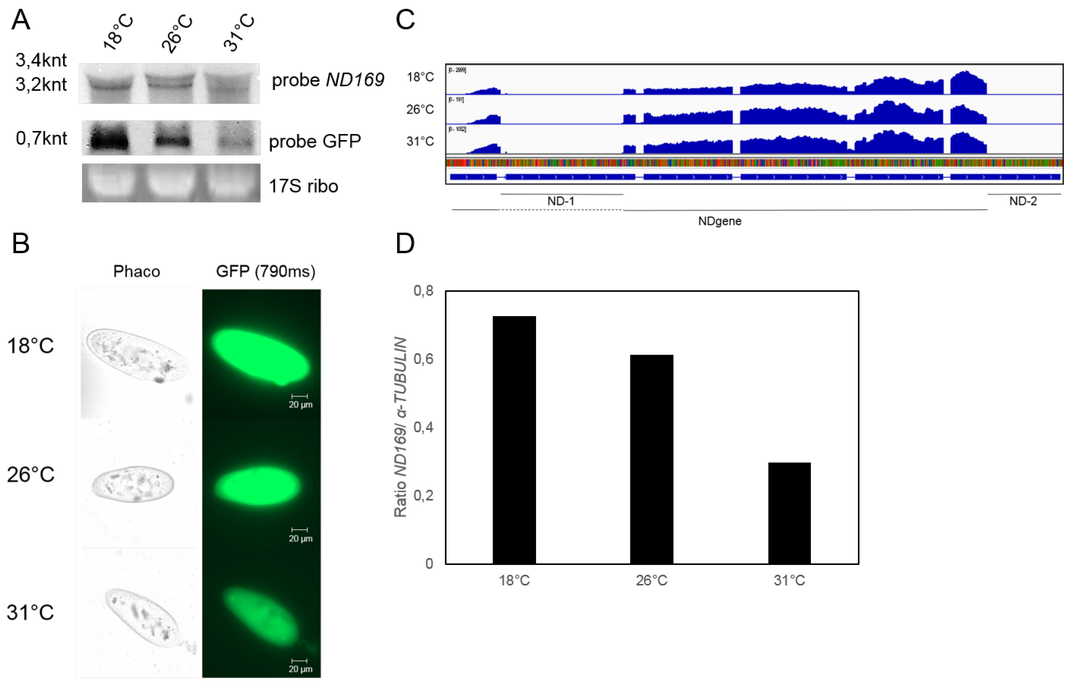 Genes 09 00117 g004