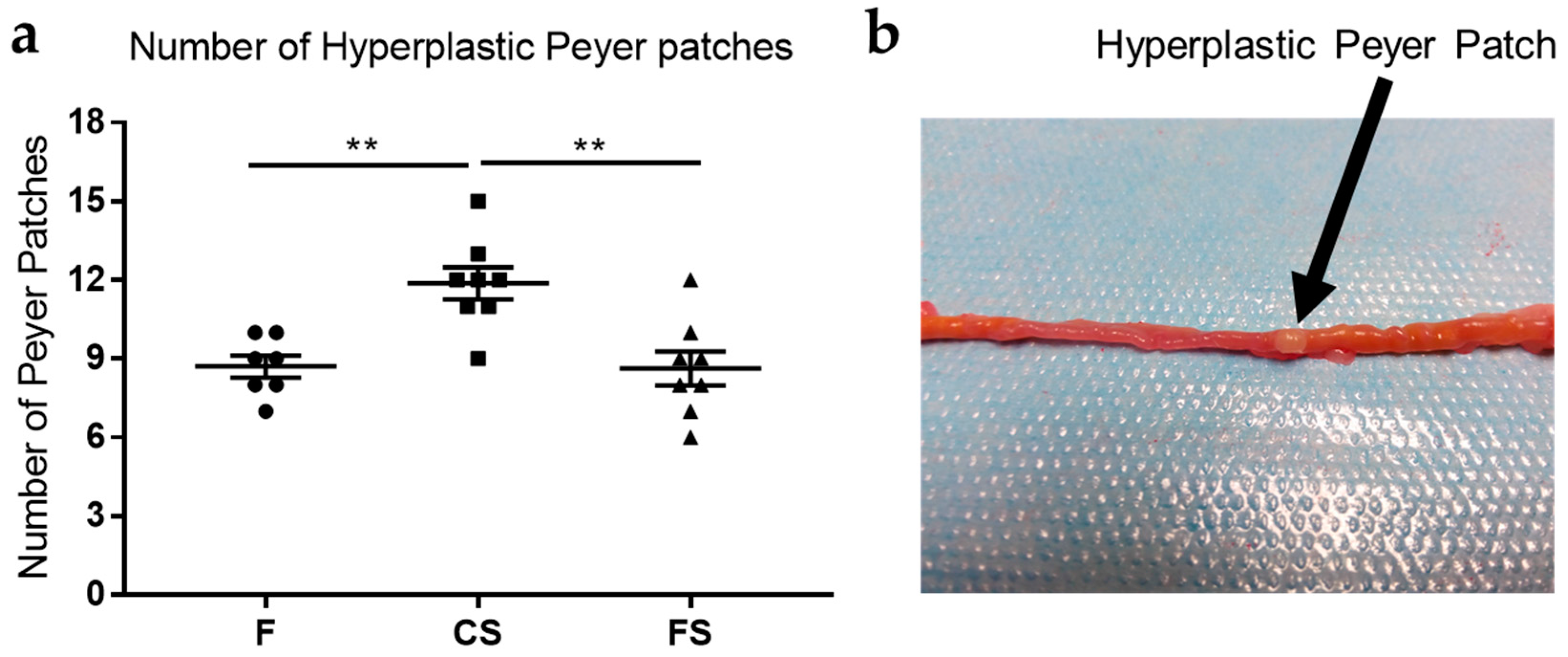 Genes 09 00133 g002