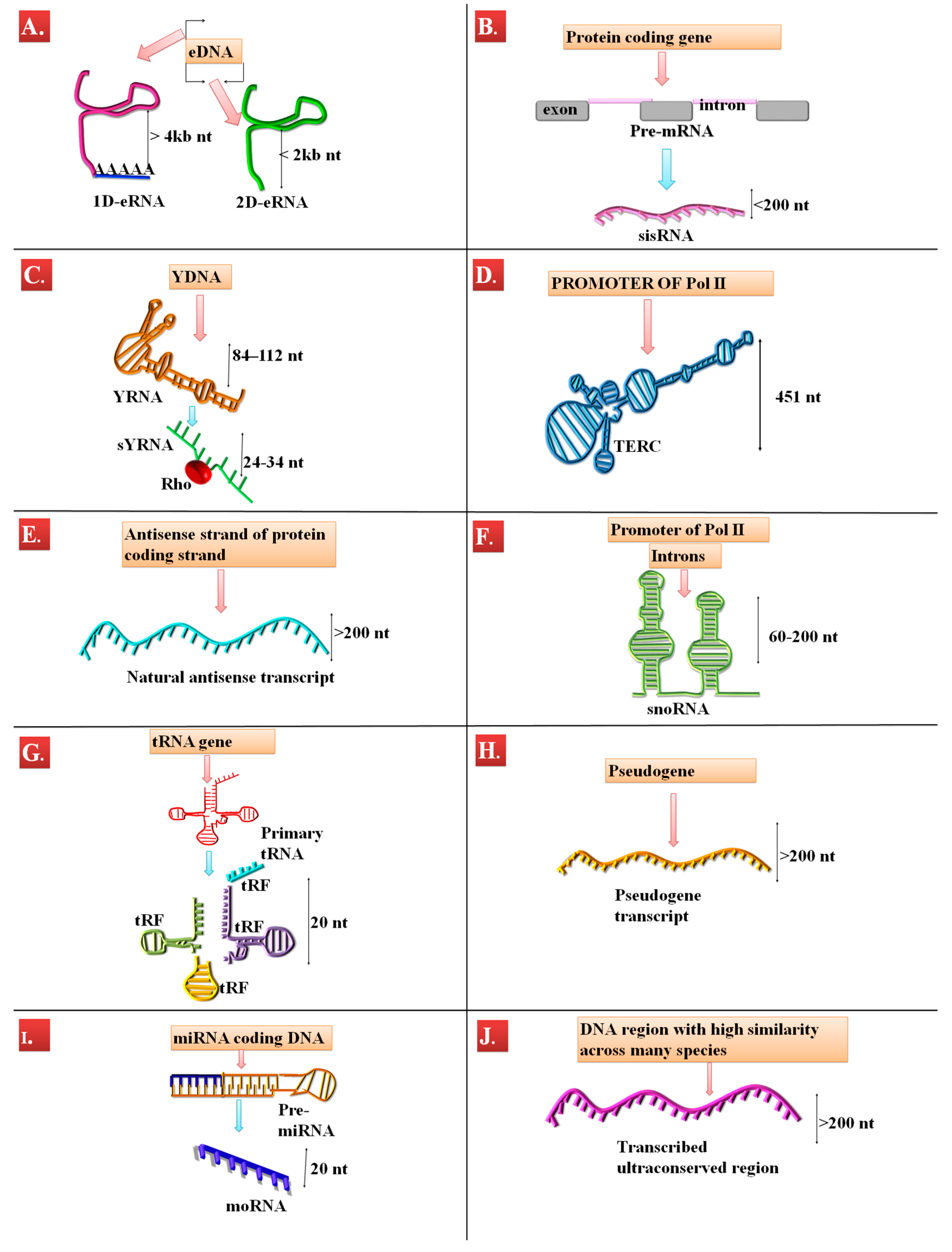 Genes 09 00134 g001 Genes 09 00134 g001