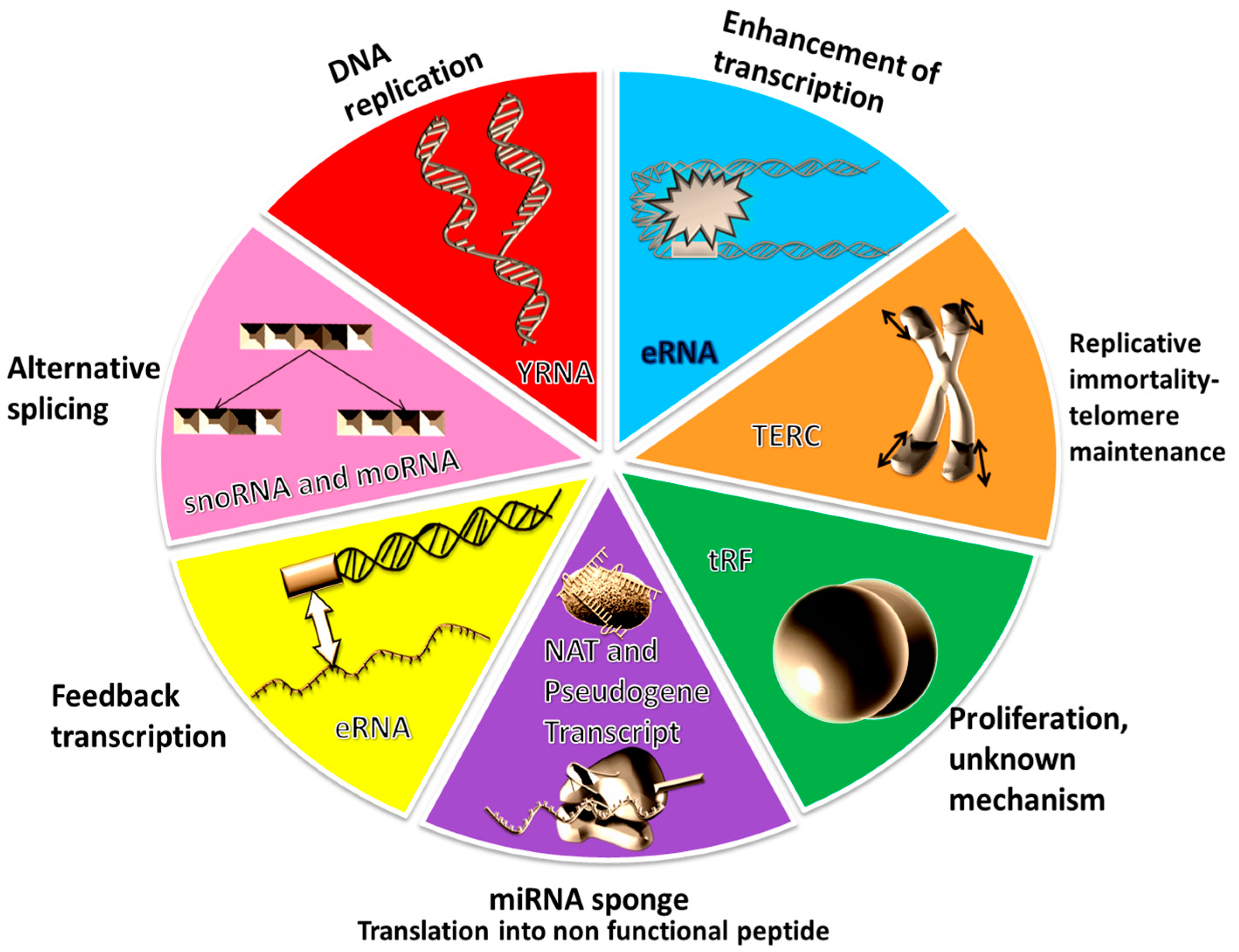 Genes 09 00134 g002 Genes 09 00134 g002