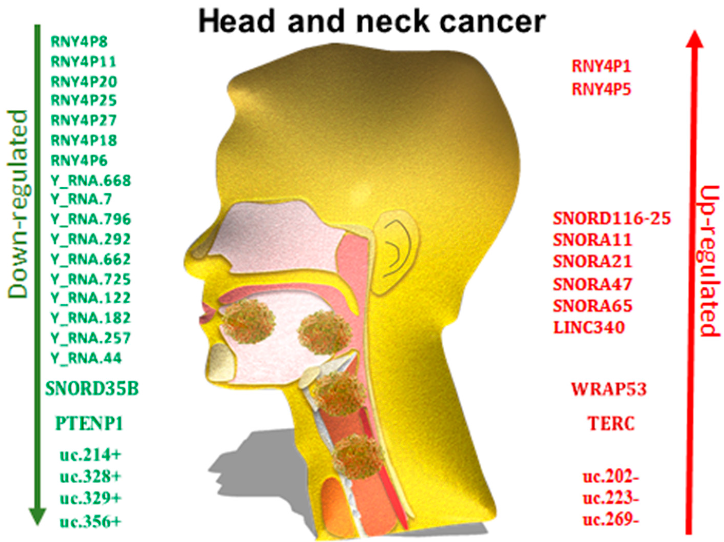 Genes 09 00134 g003 Genes 09 00134 g003