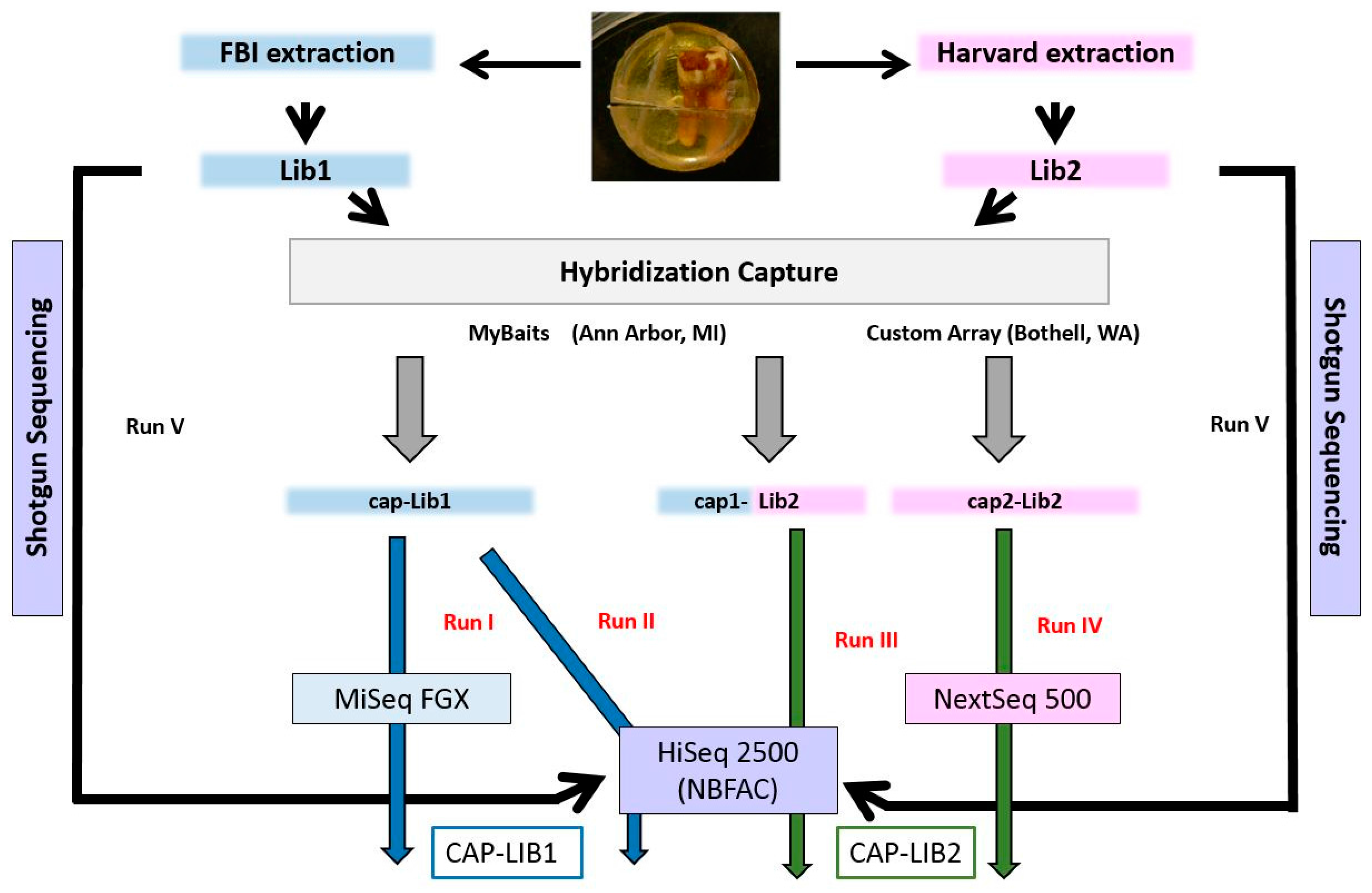 Genes 09 00135 g002
