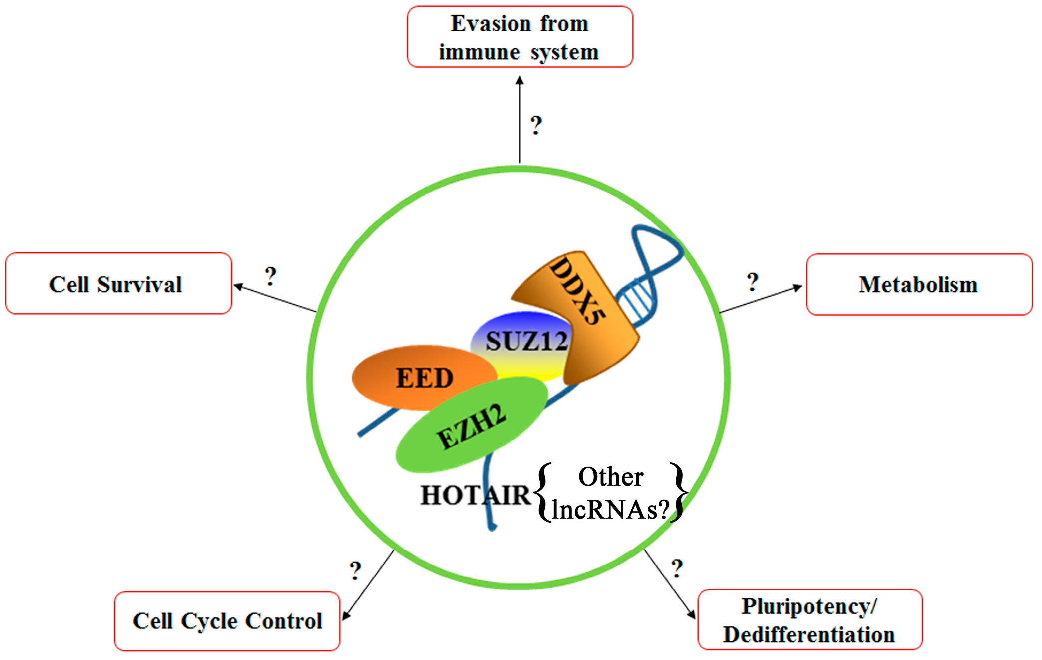 Genes 09 00137 g003 Genes 09 00137 g003