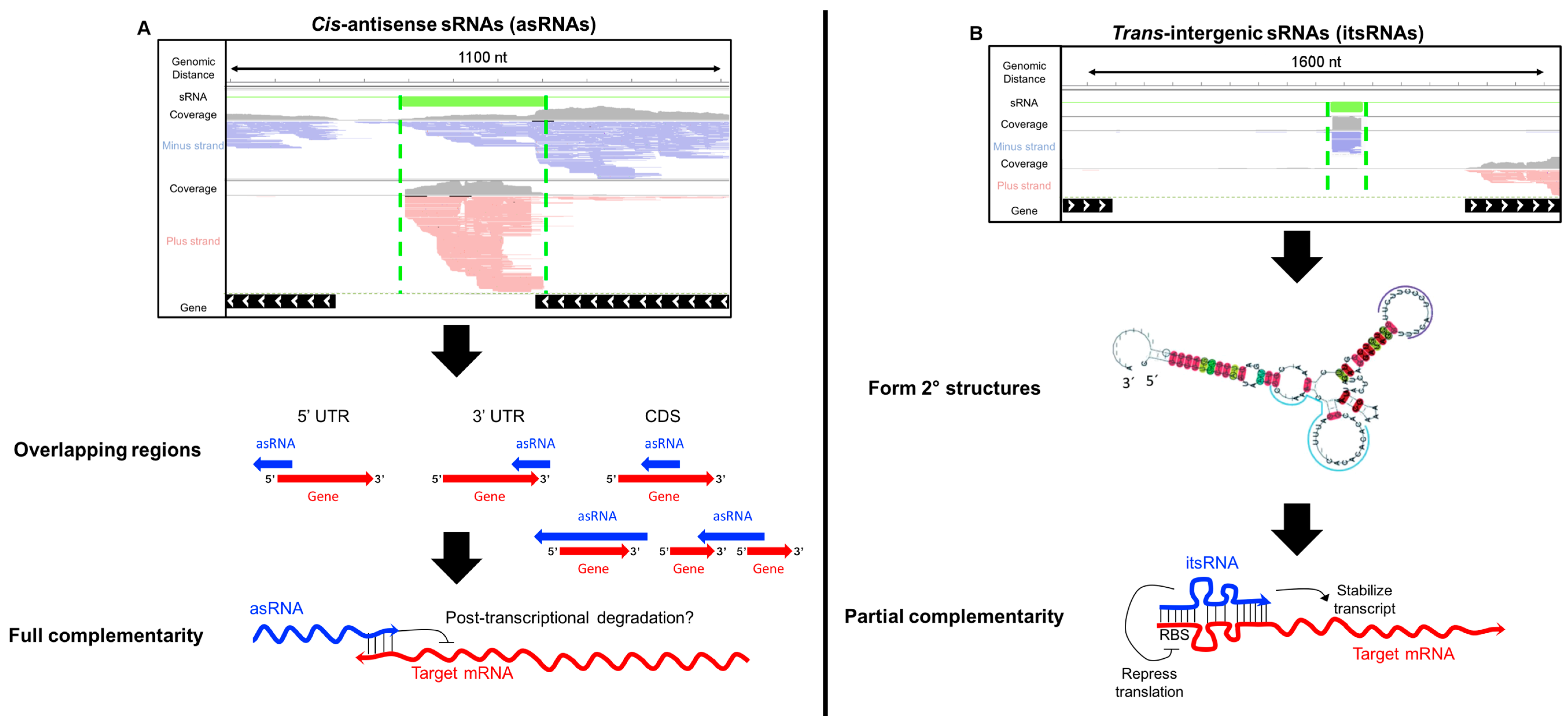 Genes 09 00141 g001