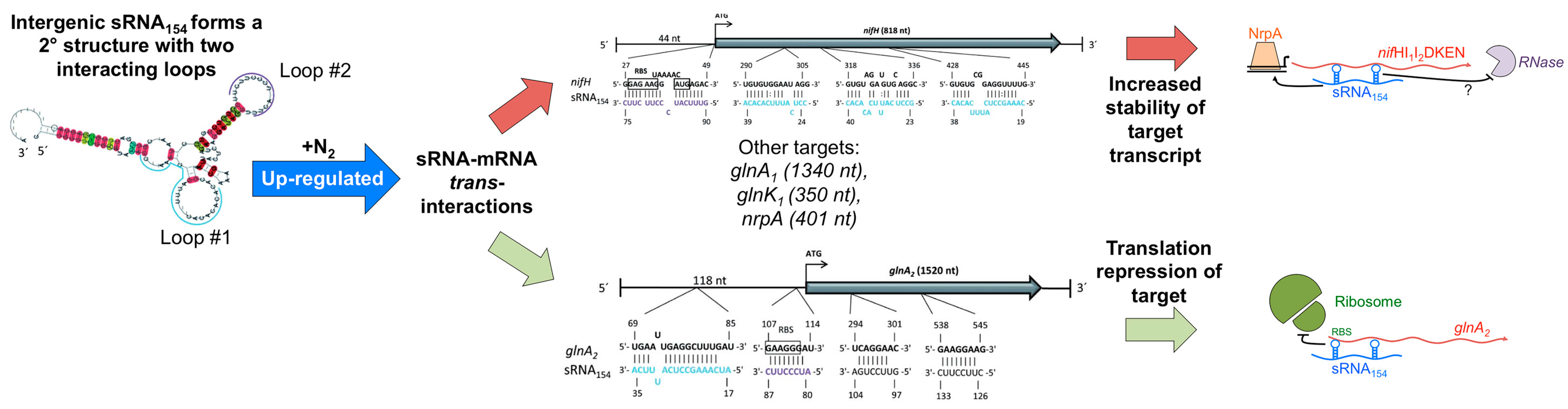 Genes 09 00141 g003
