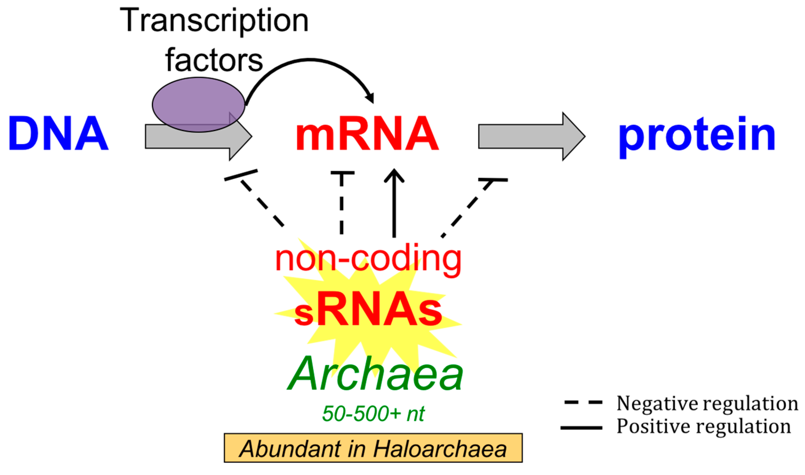 Genes 09 00141 g004
