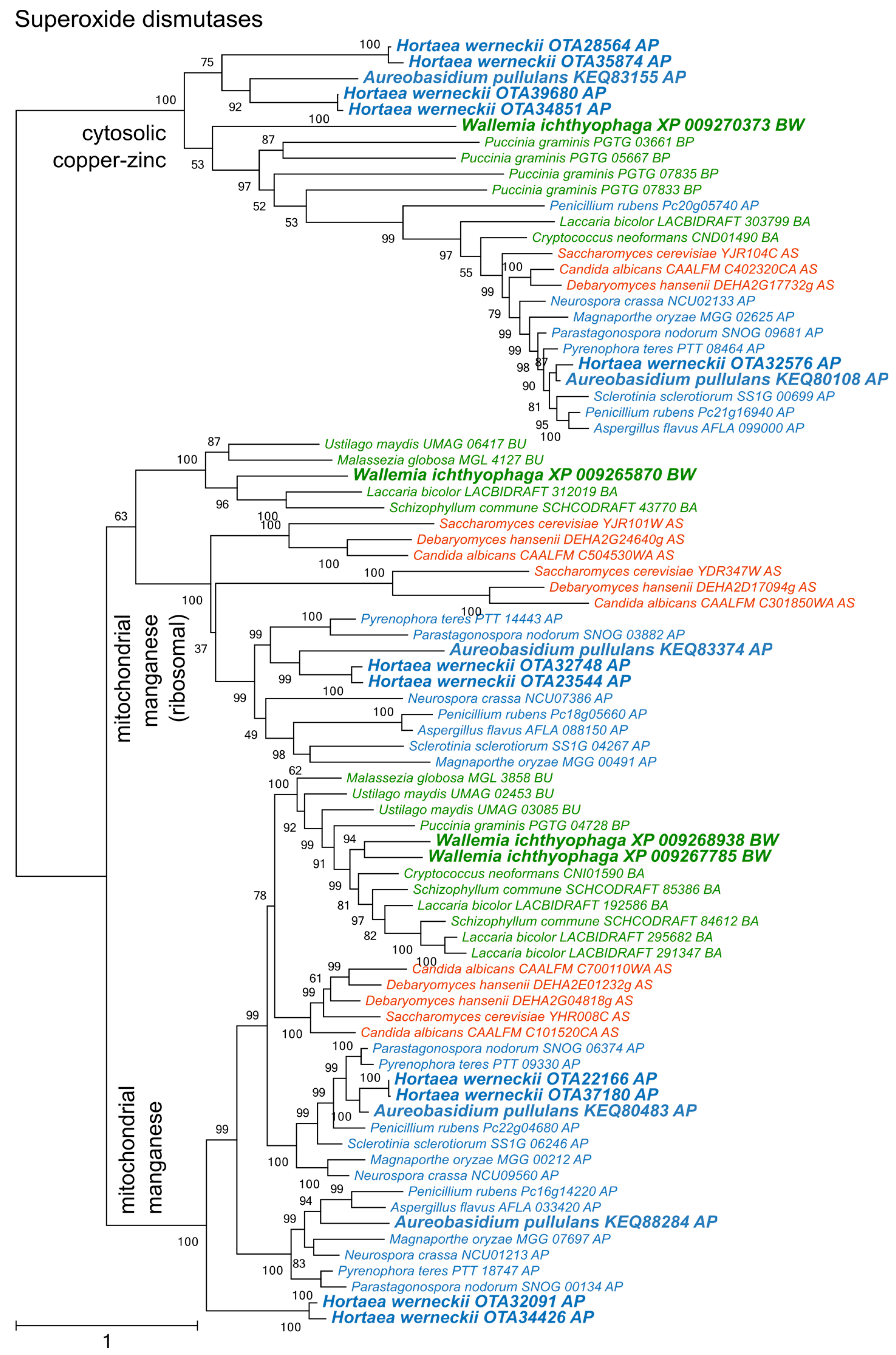 Genes 09 00143 g002 Genes 09 00143 g002