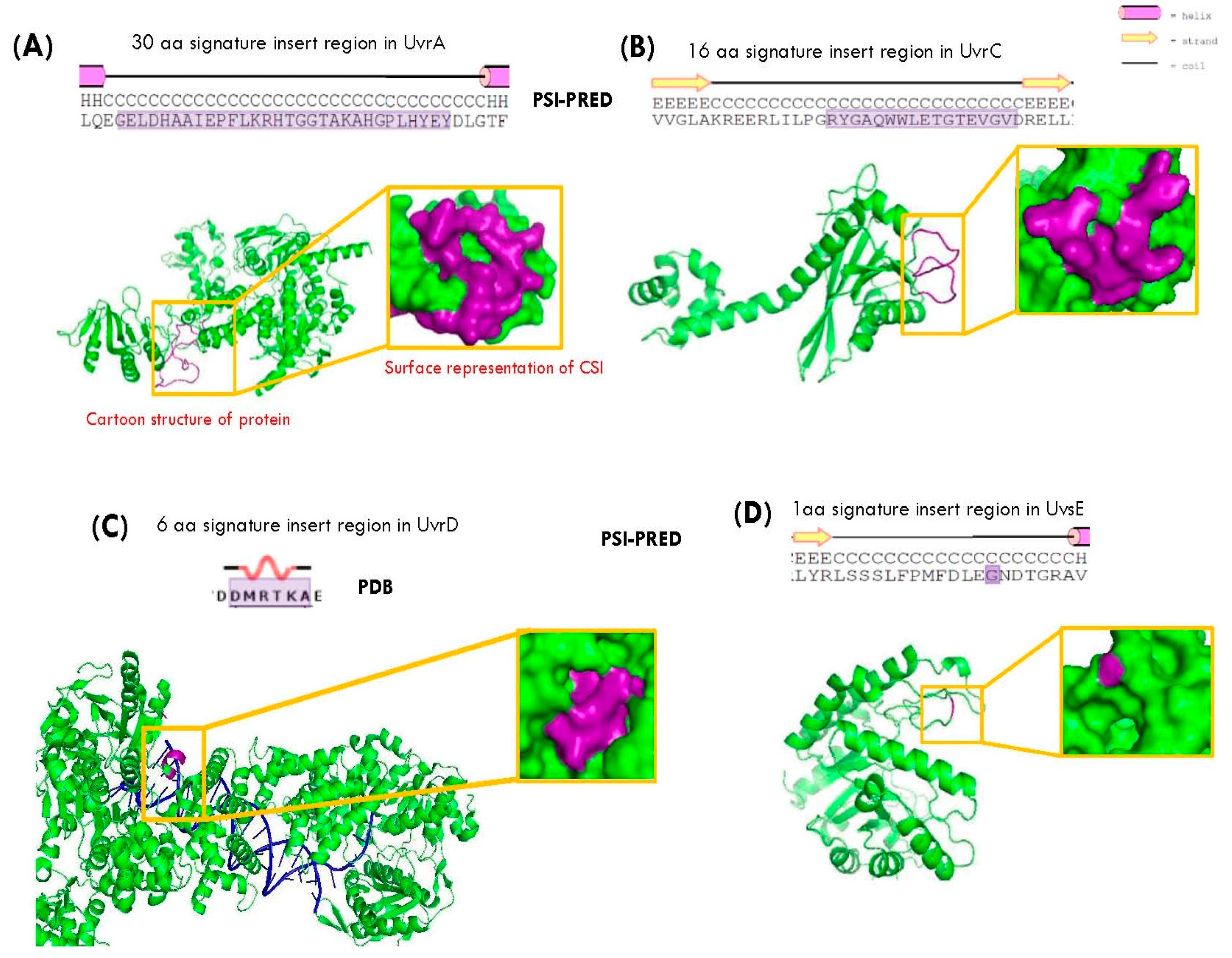 Genes 09 00149 g003