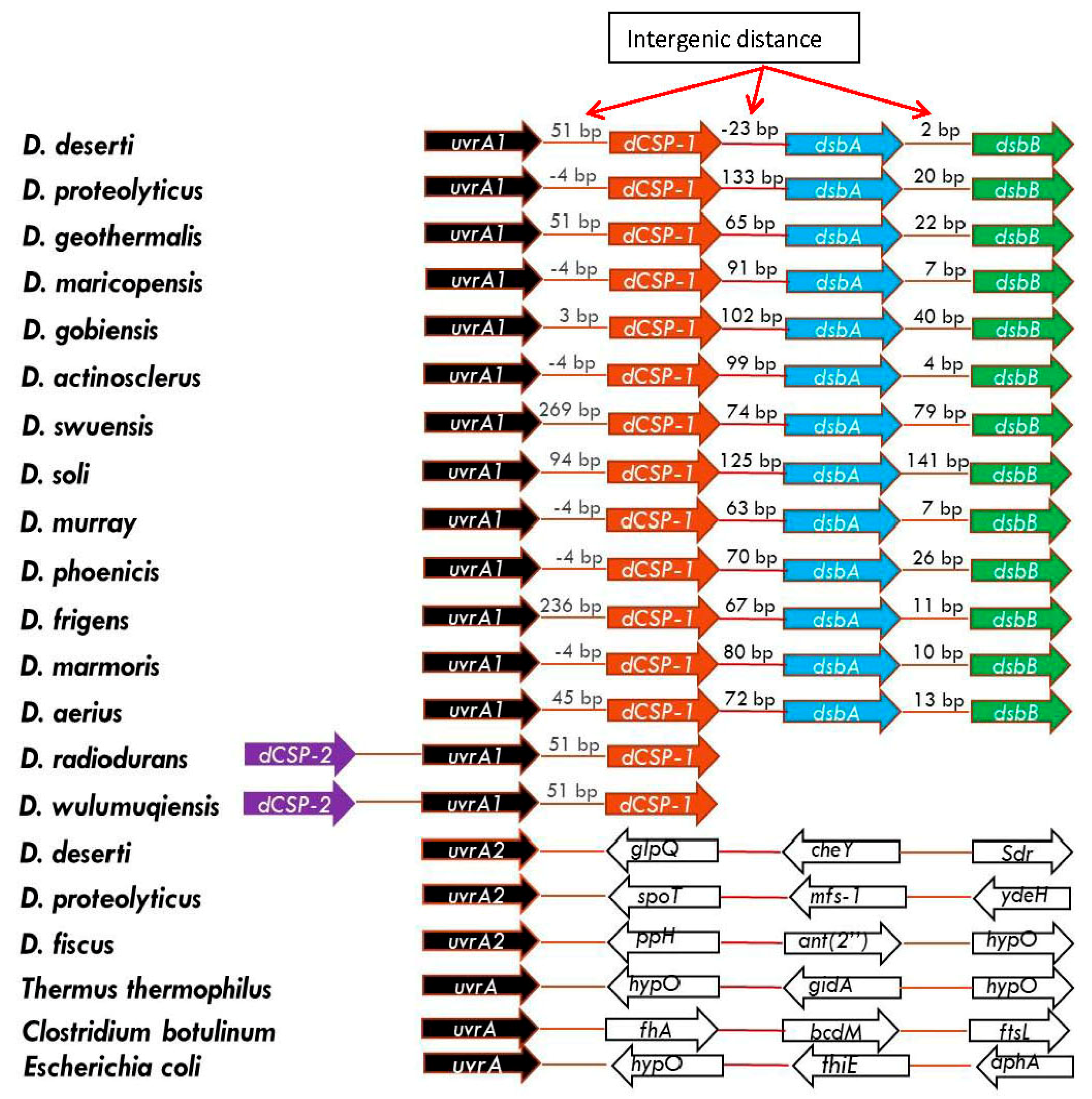 Genes 09 00149 g004