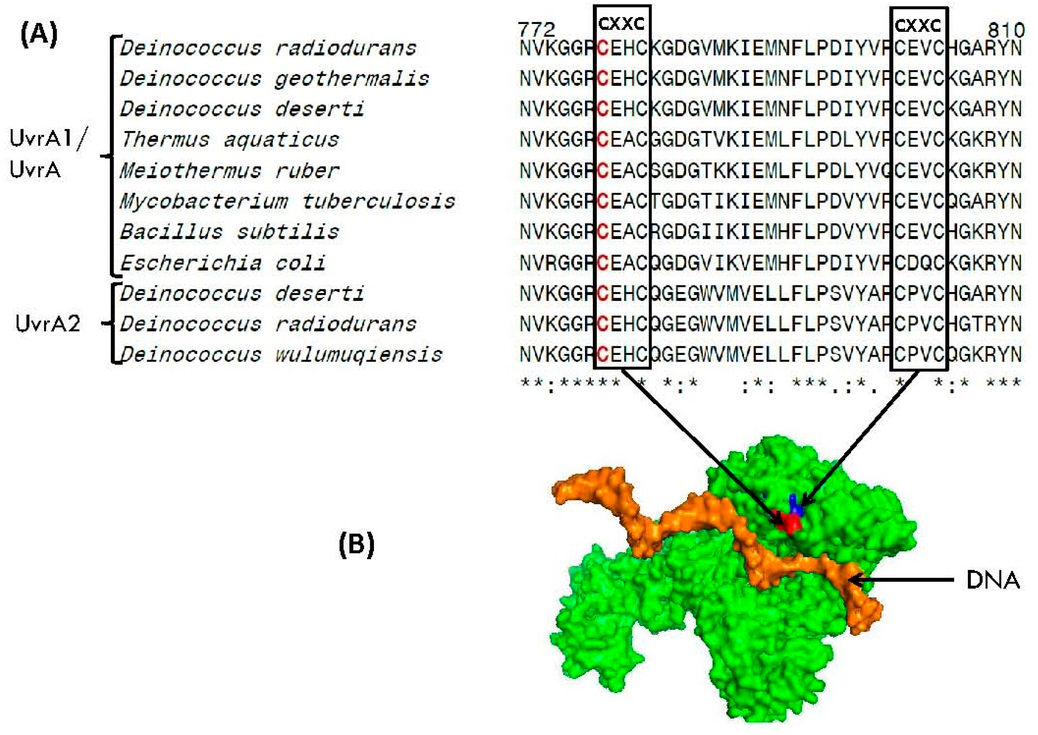Genes 09 00149 g008