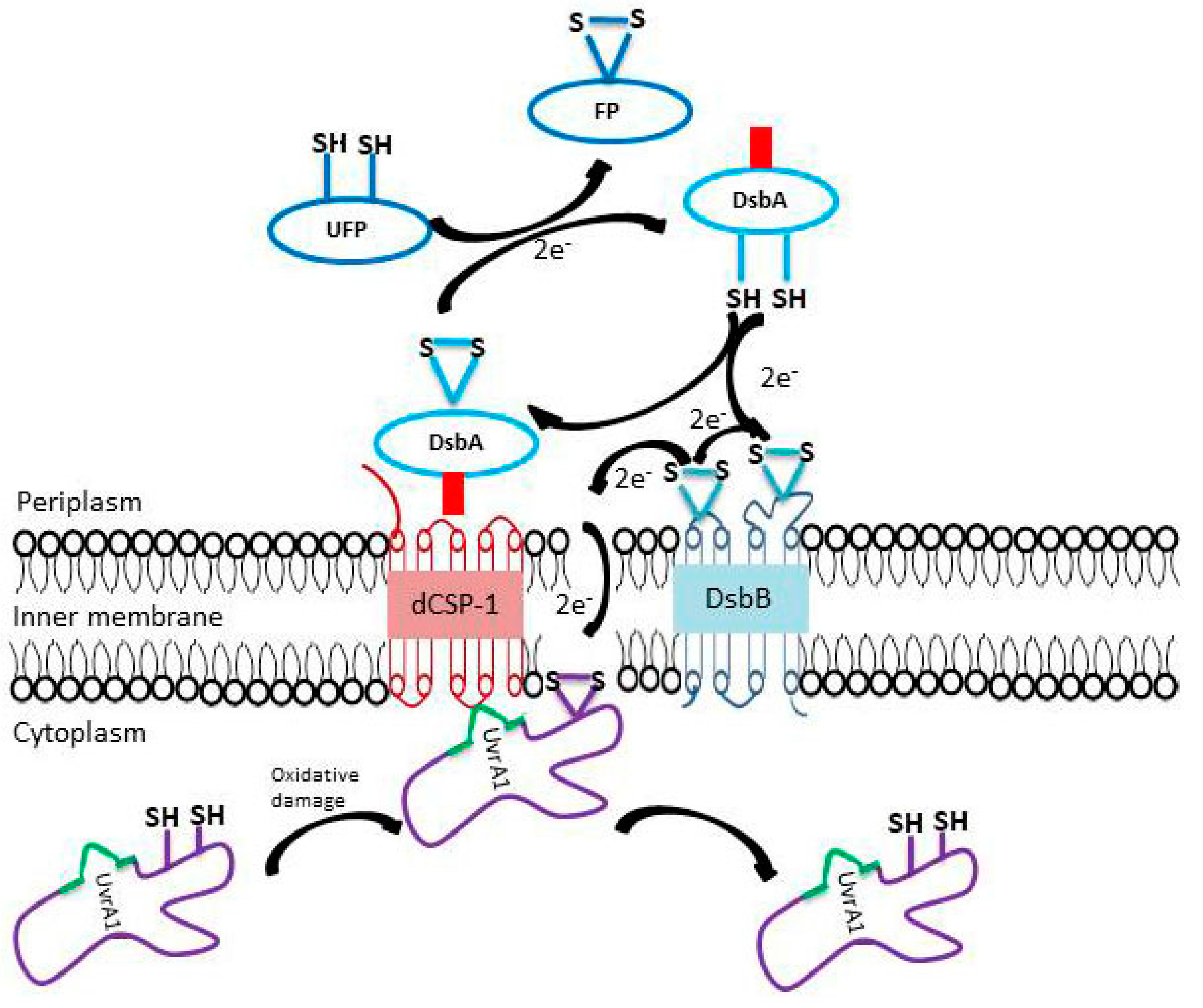 Genes 09 00149 g009