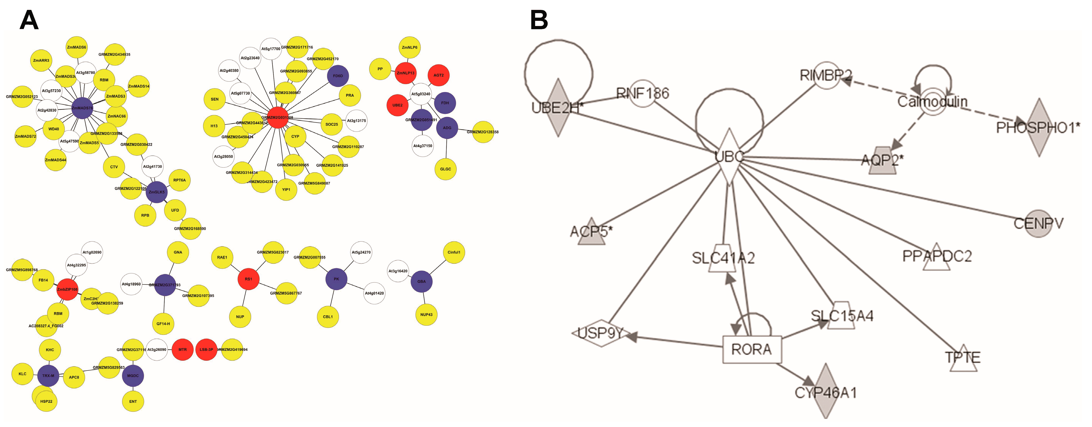 Genes 09 00151 g003