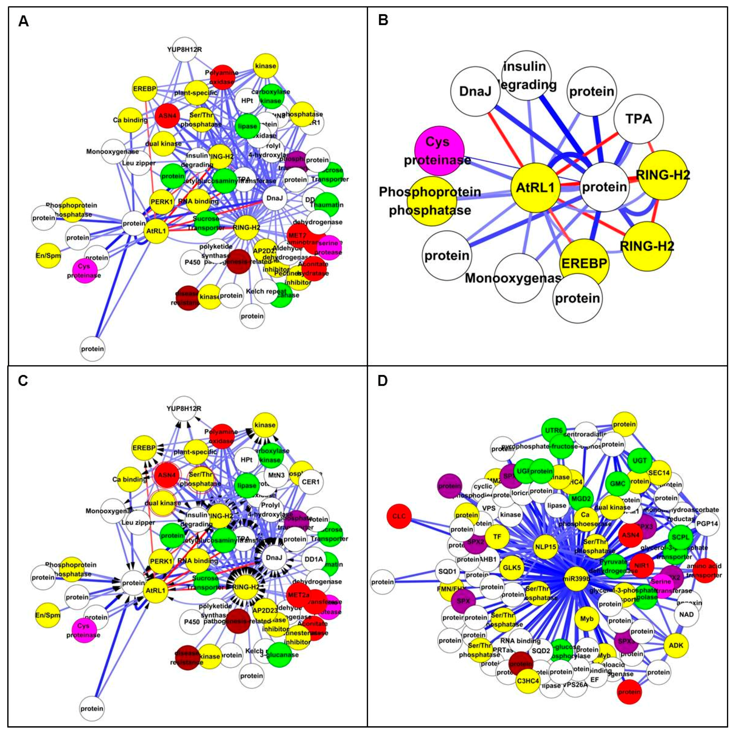 Genes 09 00151 g005