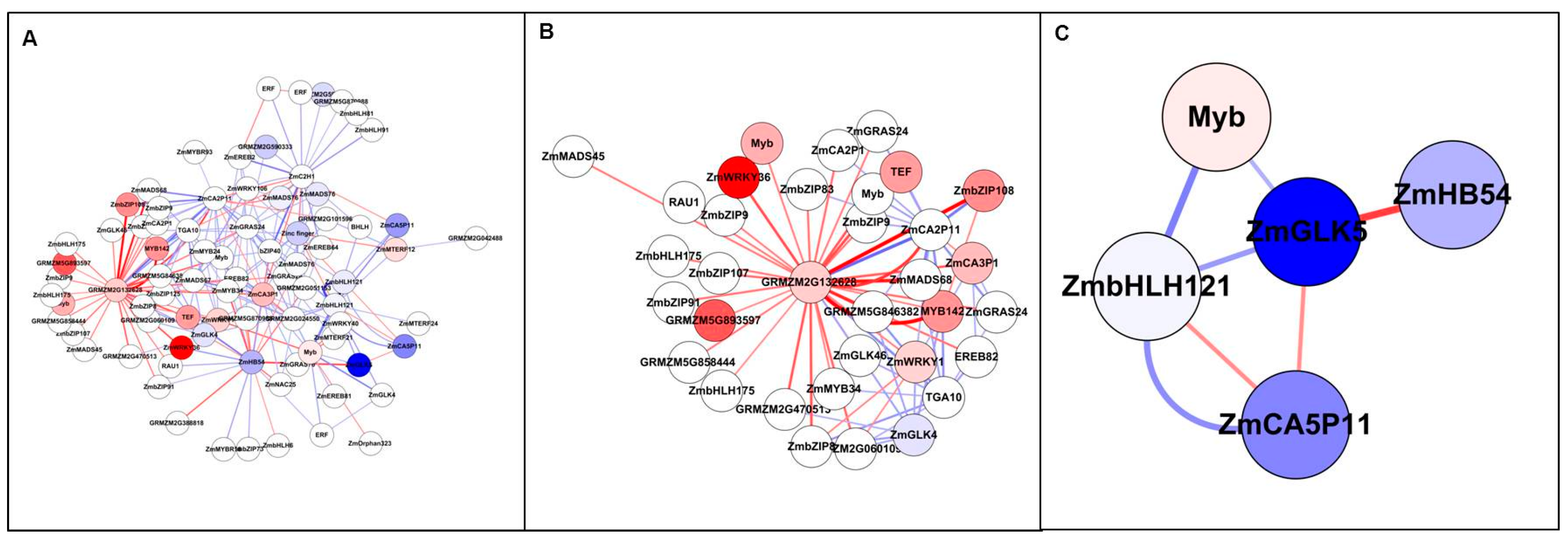 Genes 09 00151 g006