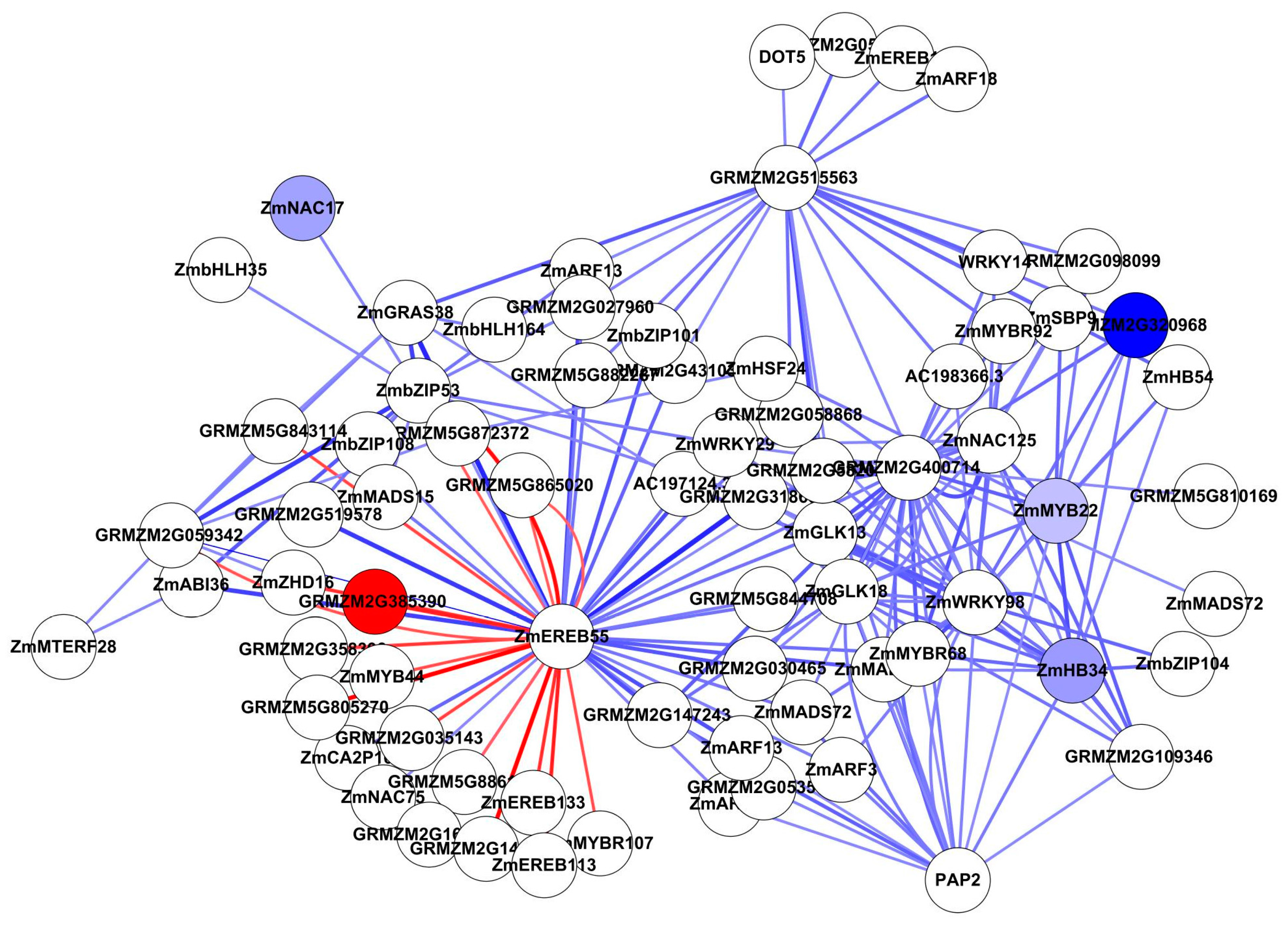 Genes 09 00151 g007