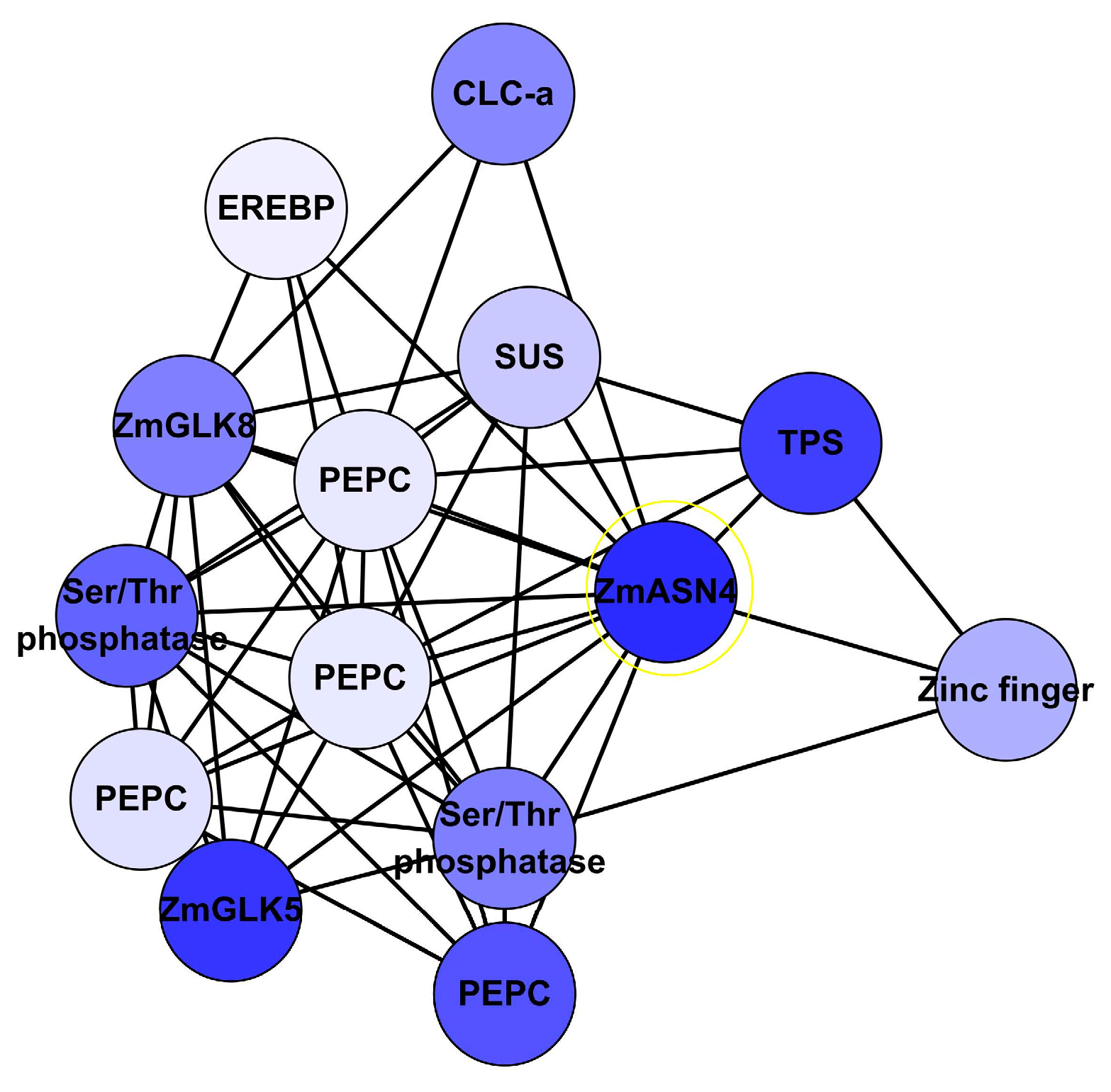 Genes 09 00151 g008